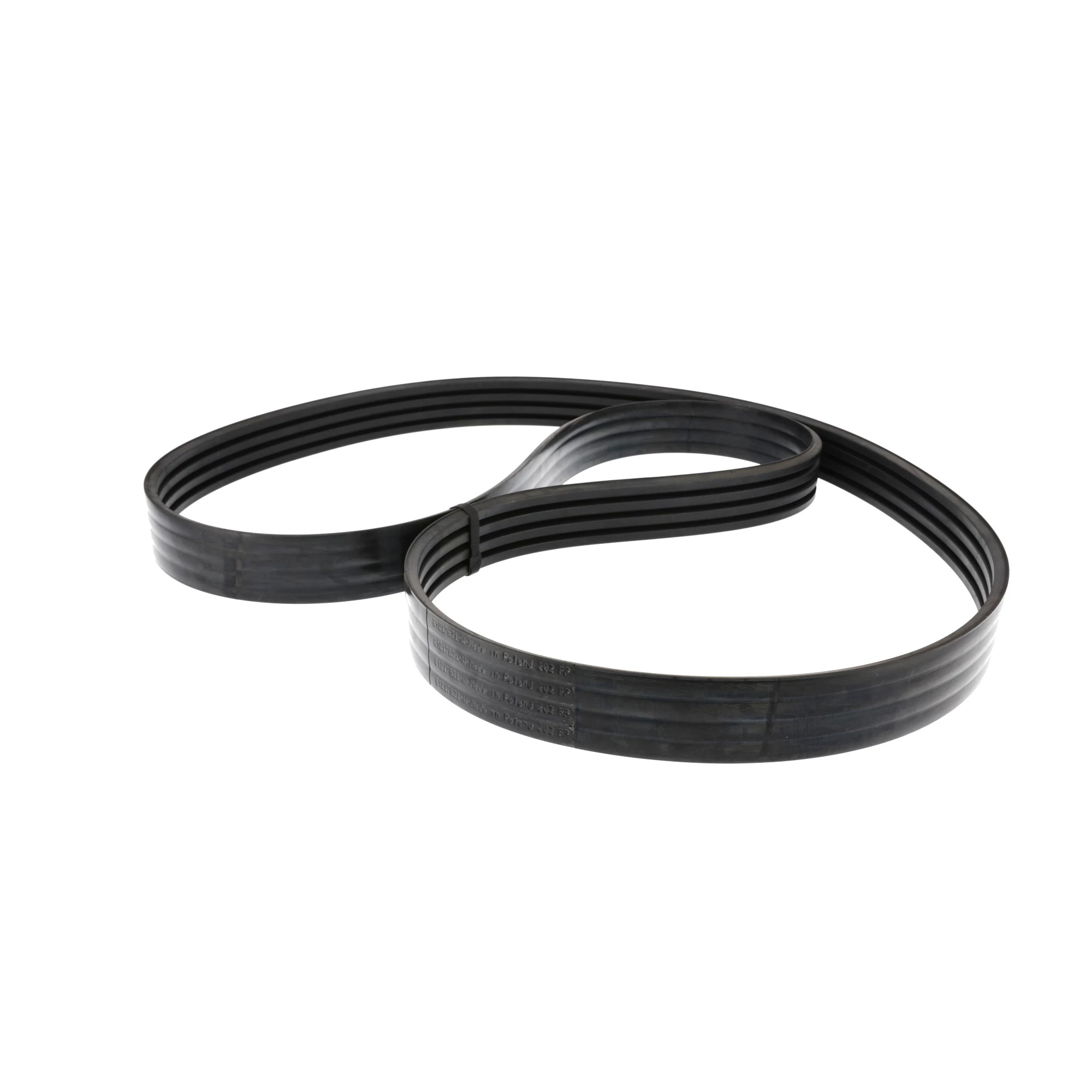 BELT | CASECE | AMEA | EN