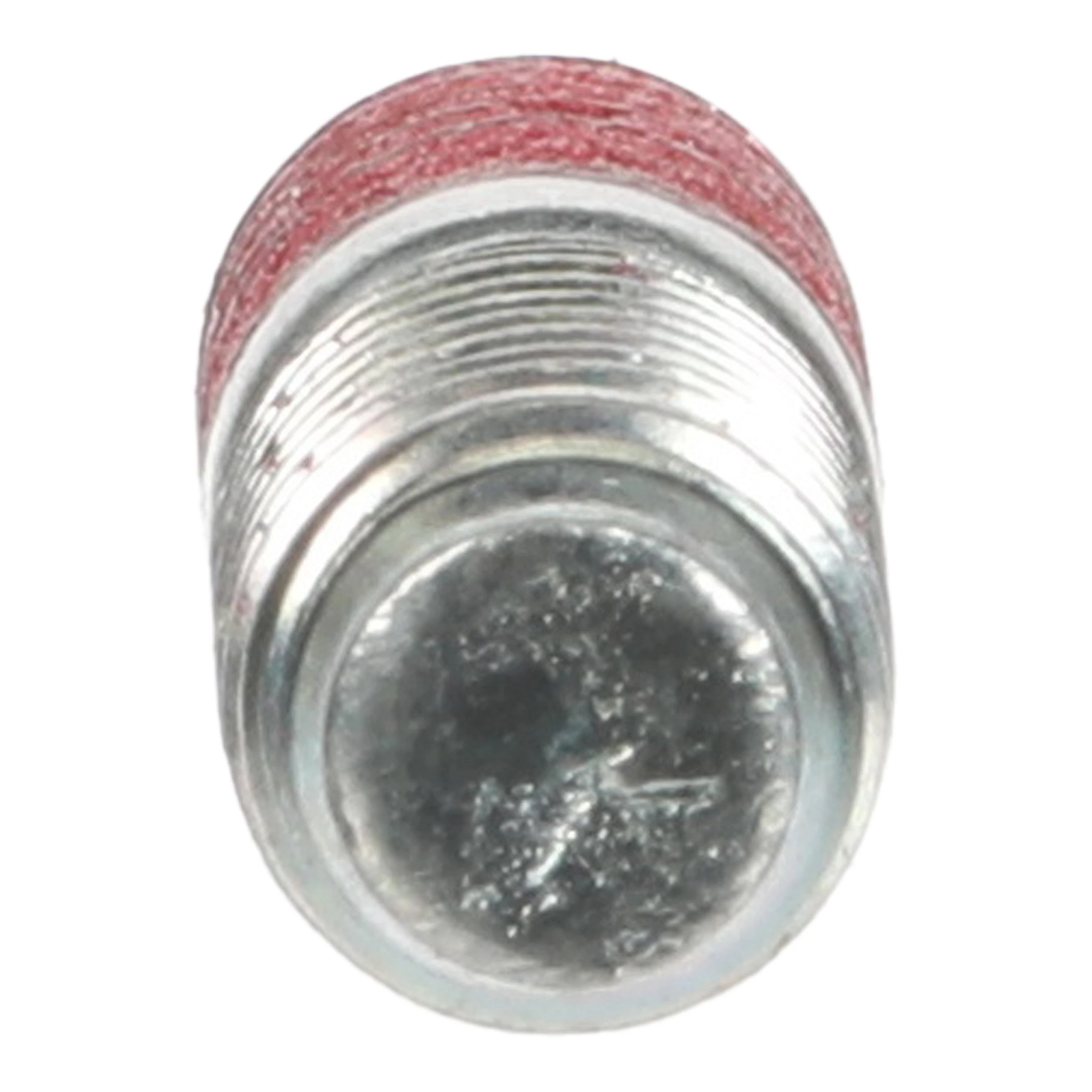 BOLT | CASECE | CA | EN