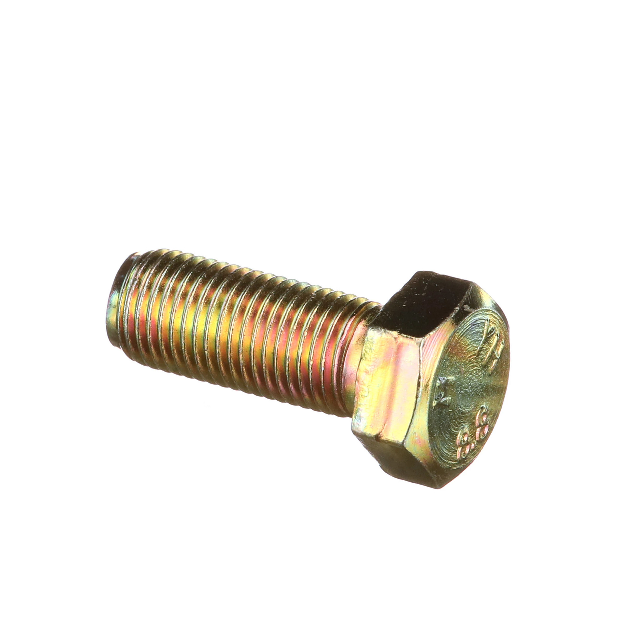Bolt | CASECE | BR | PT