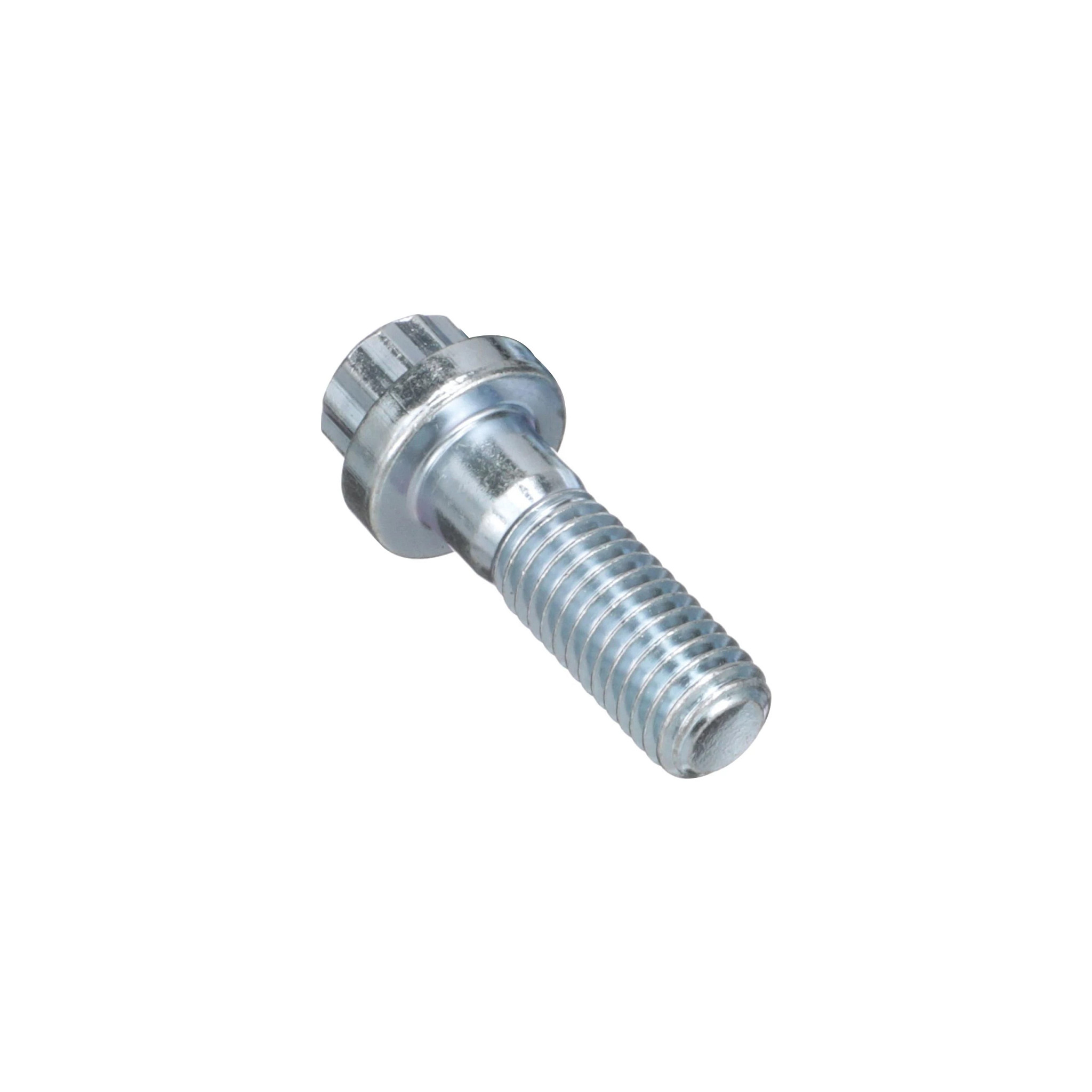 12 PT SCREW | CASECE | ANZ | EN