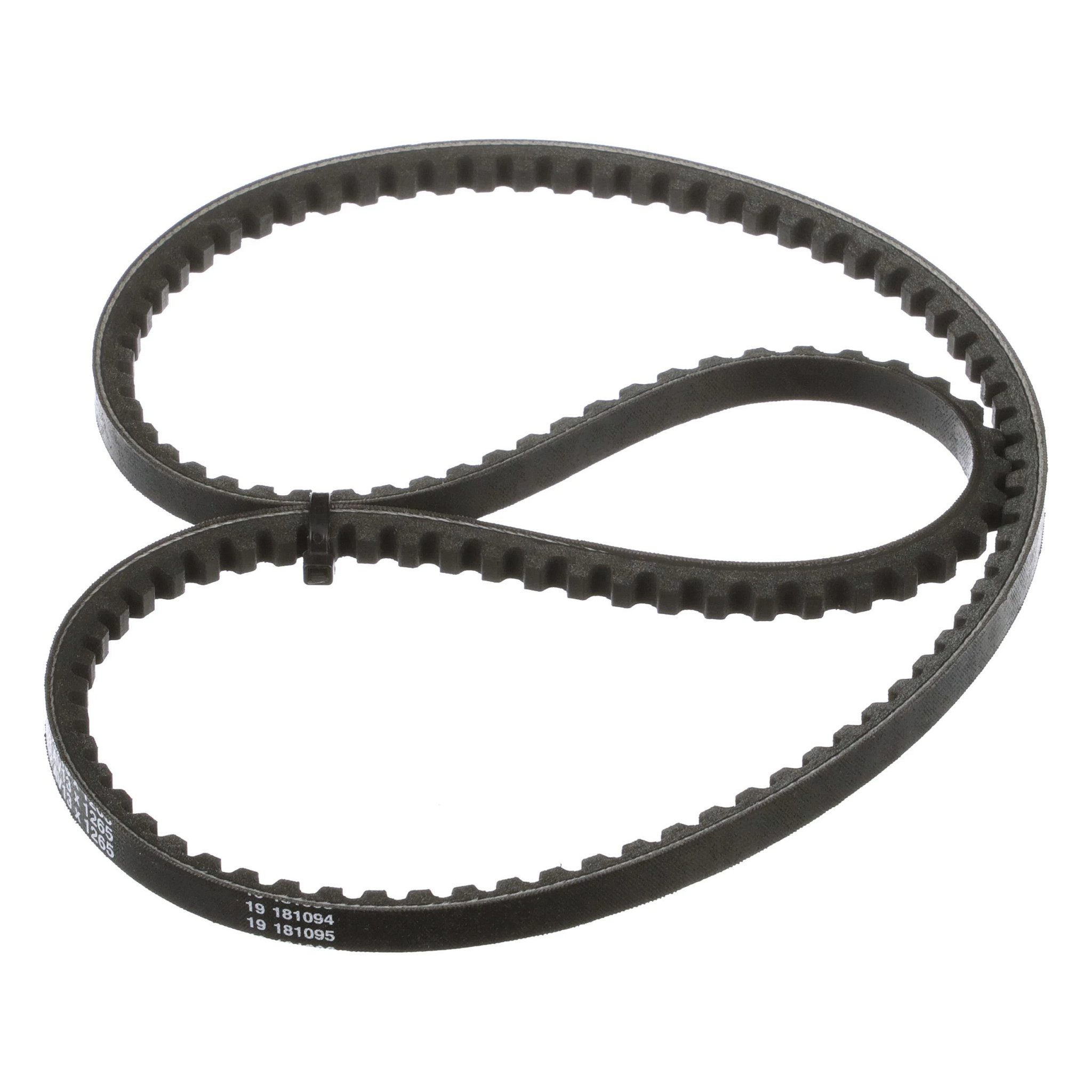 BELT | CASECE | EU | EN