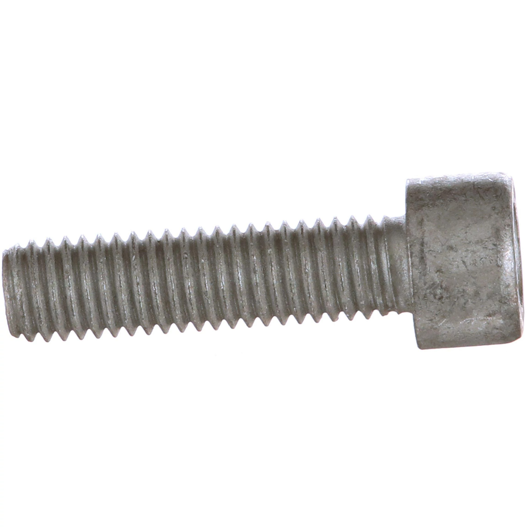 BOLT | CASECE | AMEA | EN