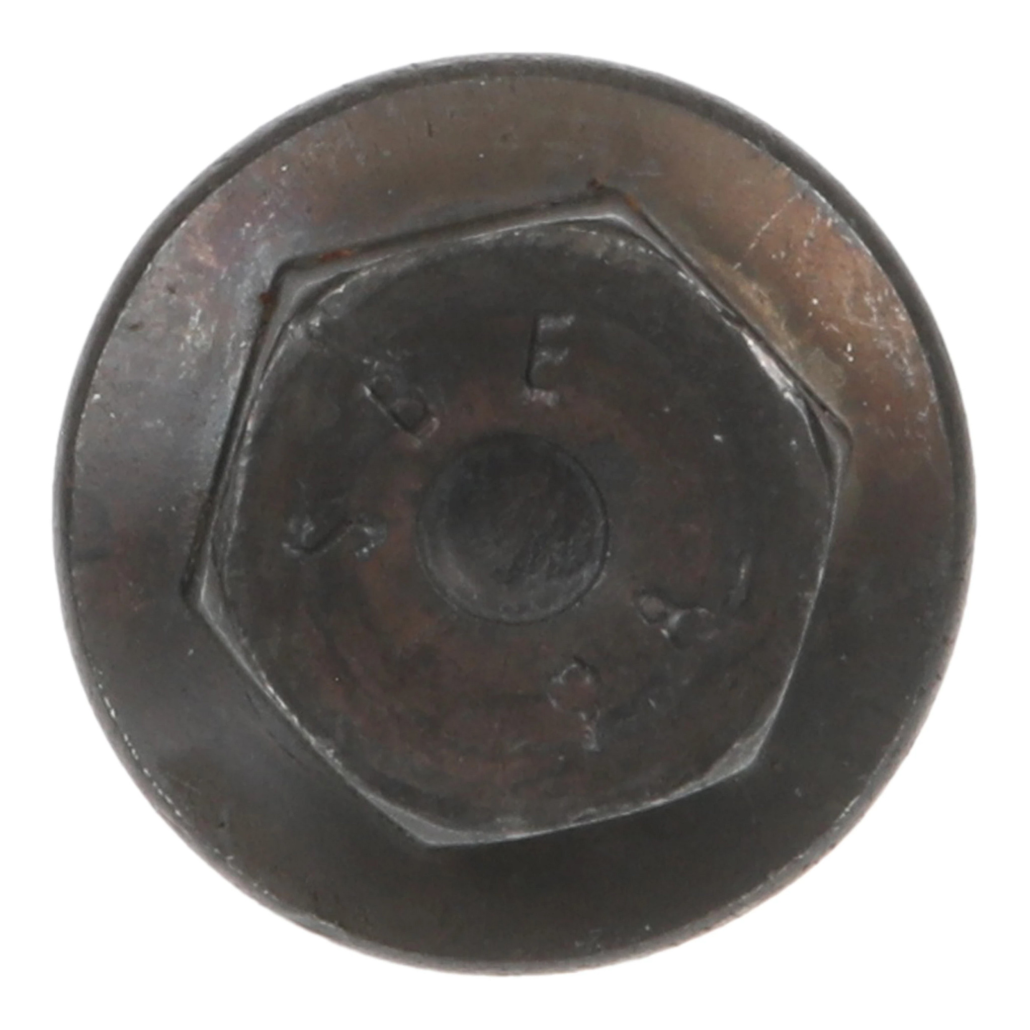 SCREW | CASECE | AMEA | EN