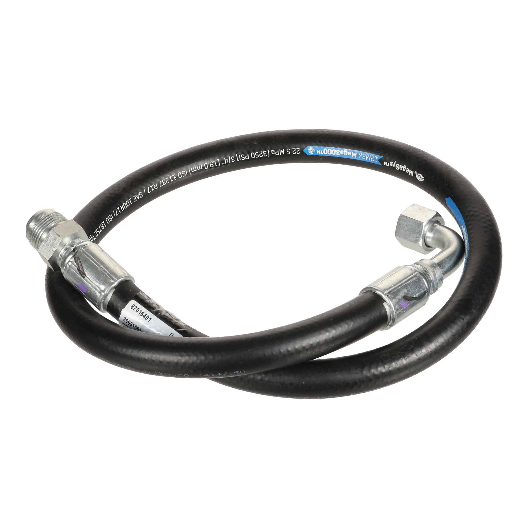 HOSE | CASECE | AMEA | EN