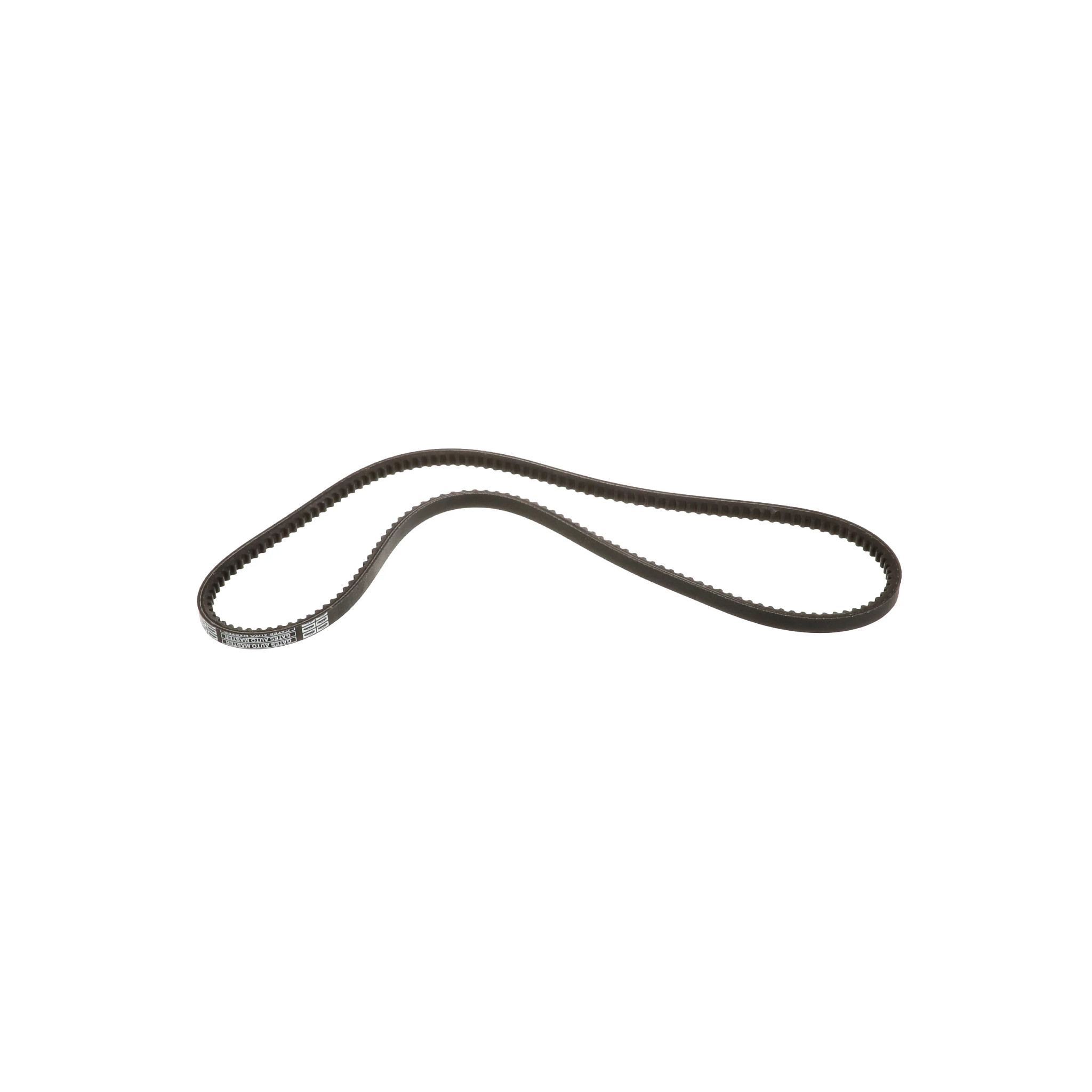 Engine Belt - 1250 mm L | CASECE | BR | PT