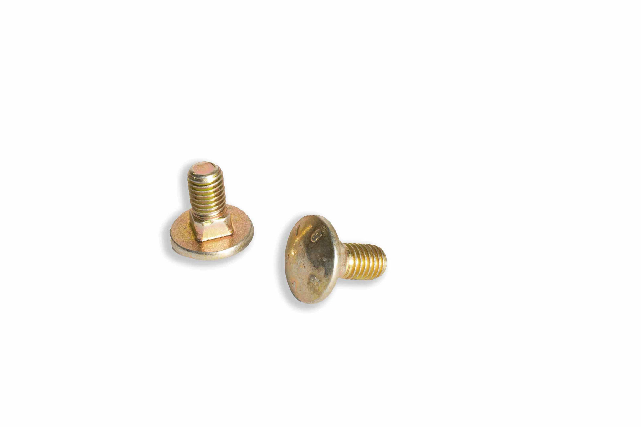 CARRIAGE BOLT | CASECE | CA | EN