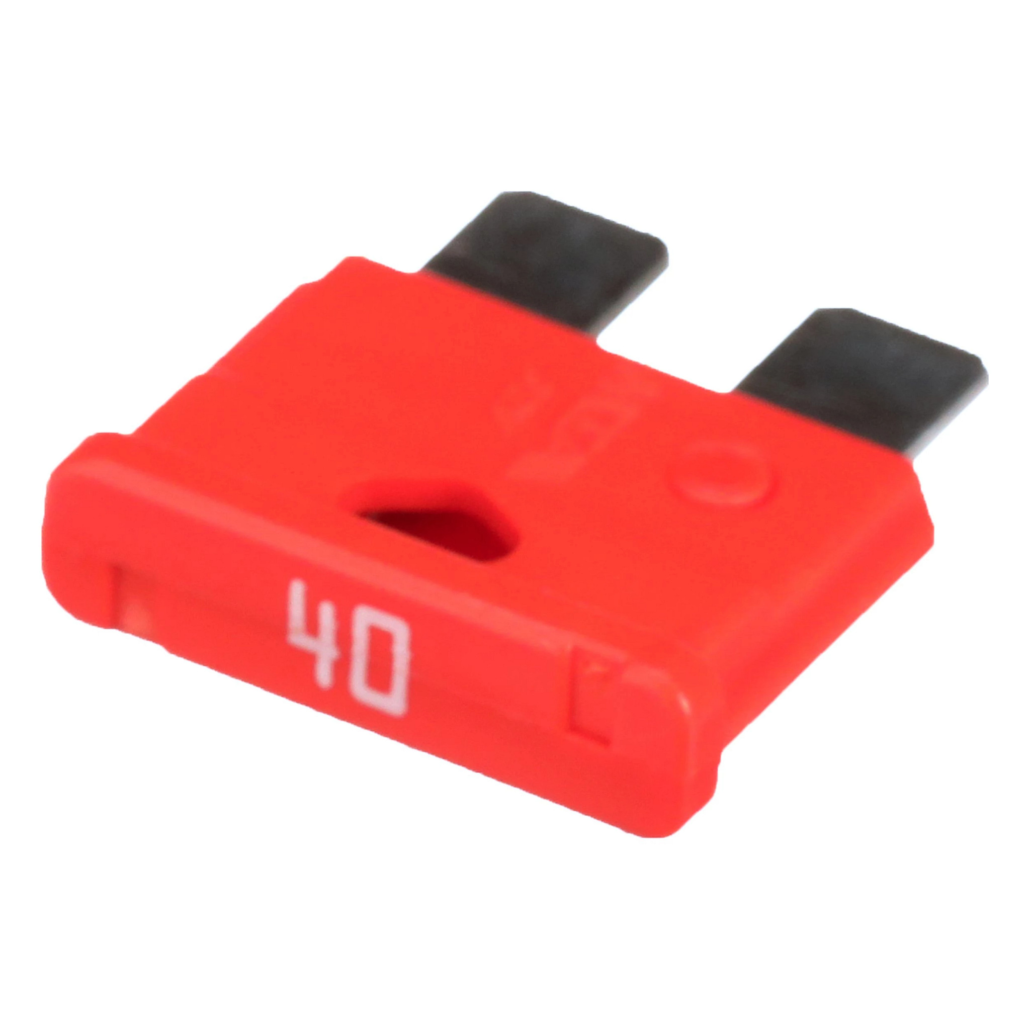 Fuse | CASECE | US | EN