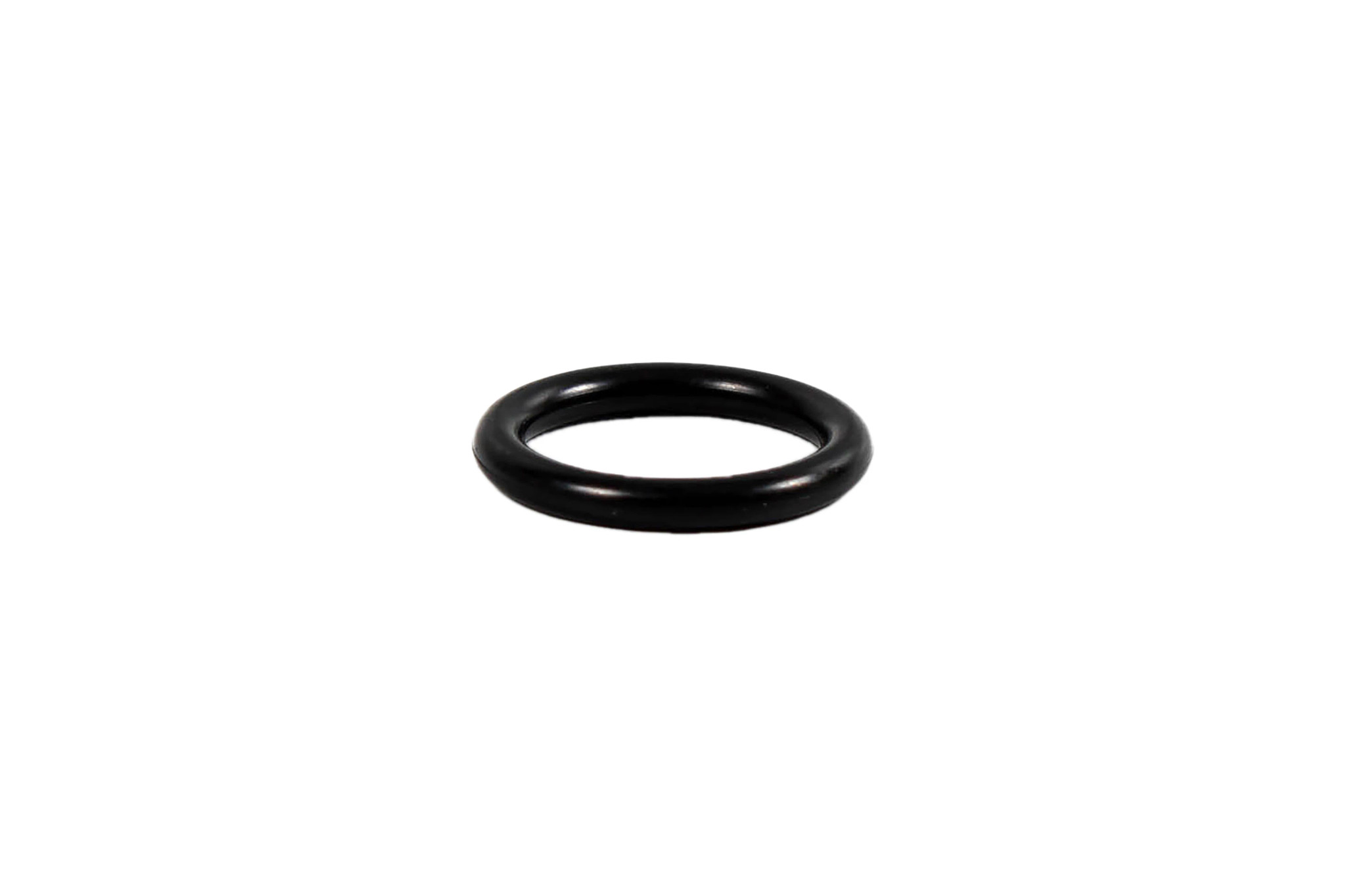 O-RING | CASECE | US | EN