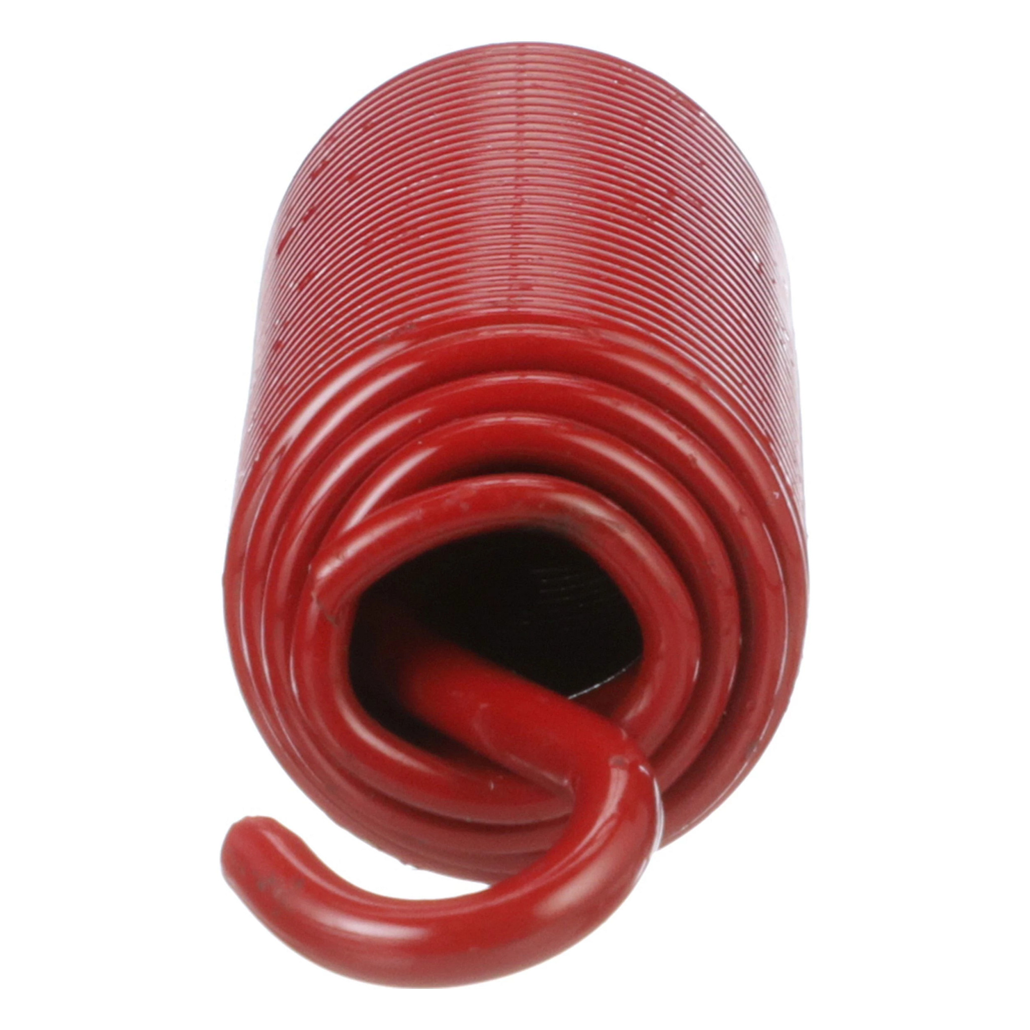 SPRING | CASECE | US | EN