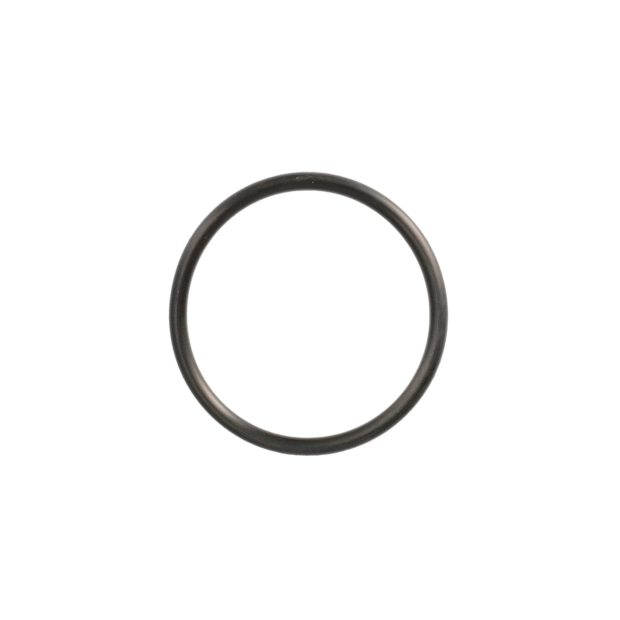 PIERŚCIEŃ O-RING | CASEIH | EU | PL