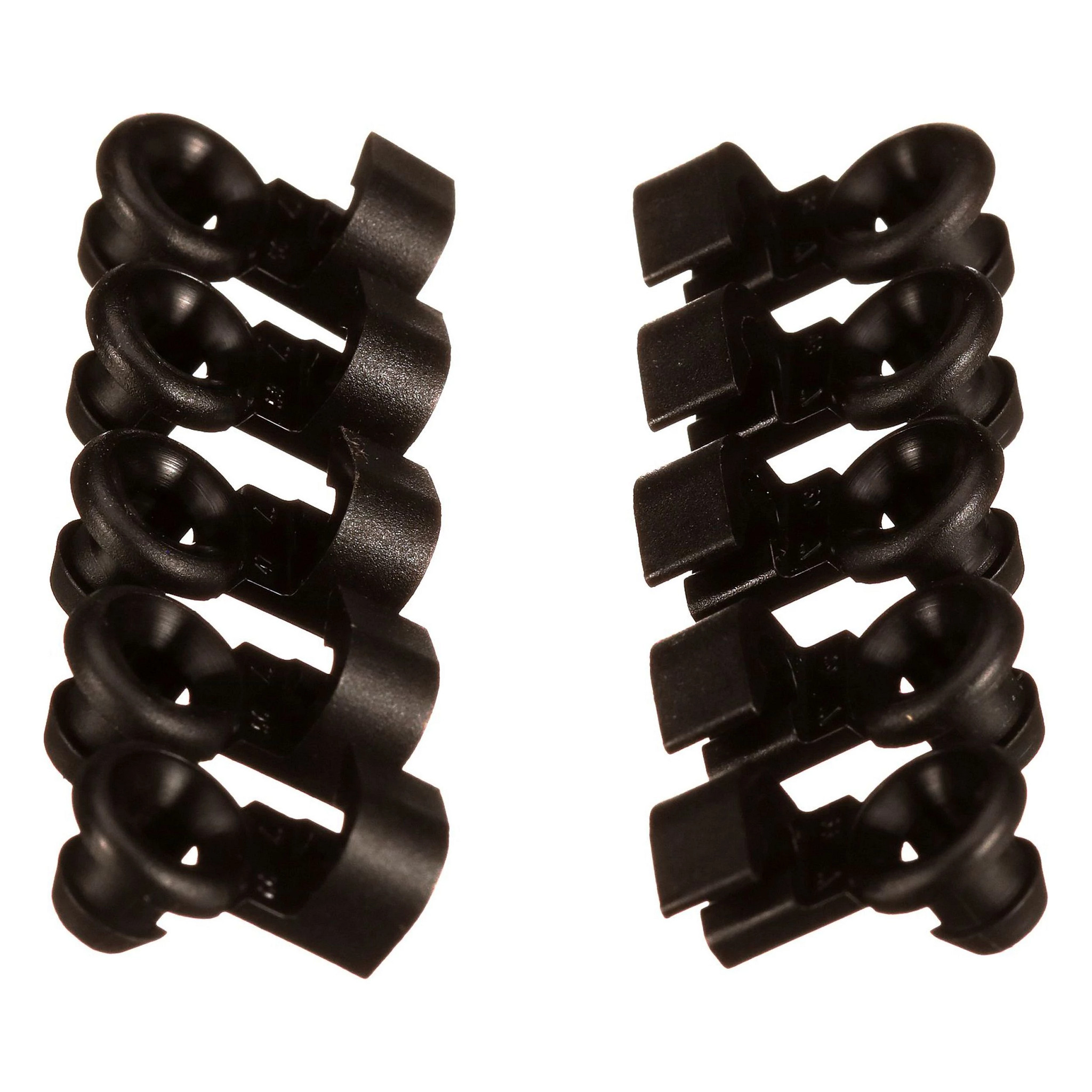 CLIP | CASECE | CA | EN