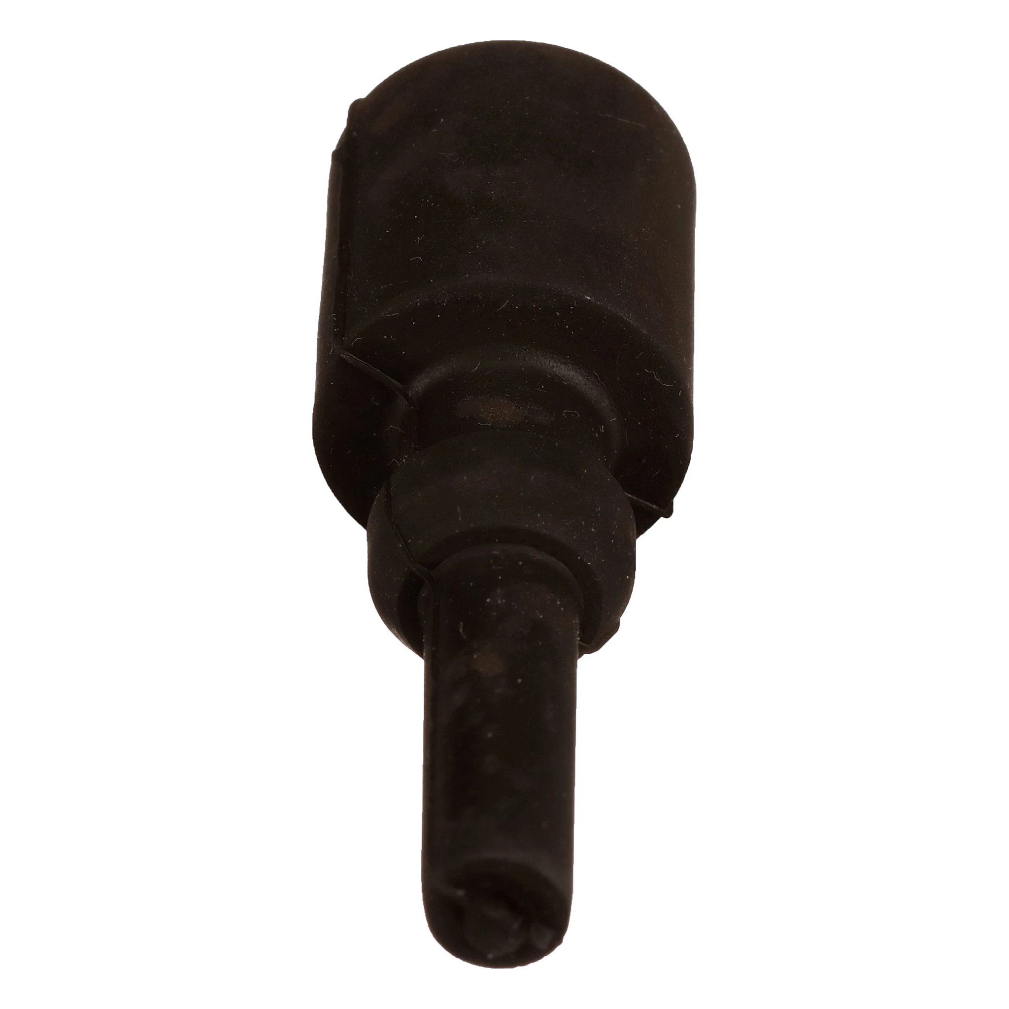 PLUG | CASECE | US | EN