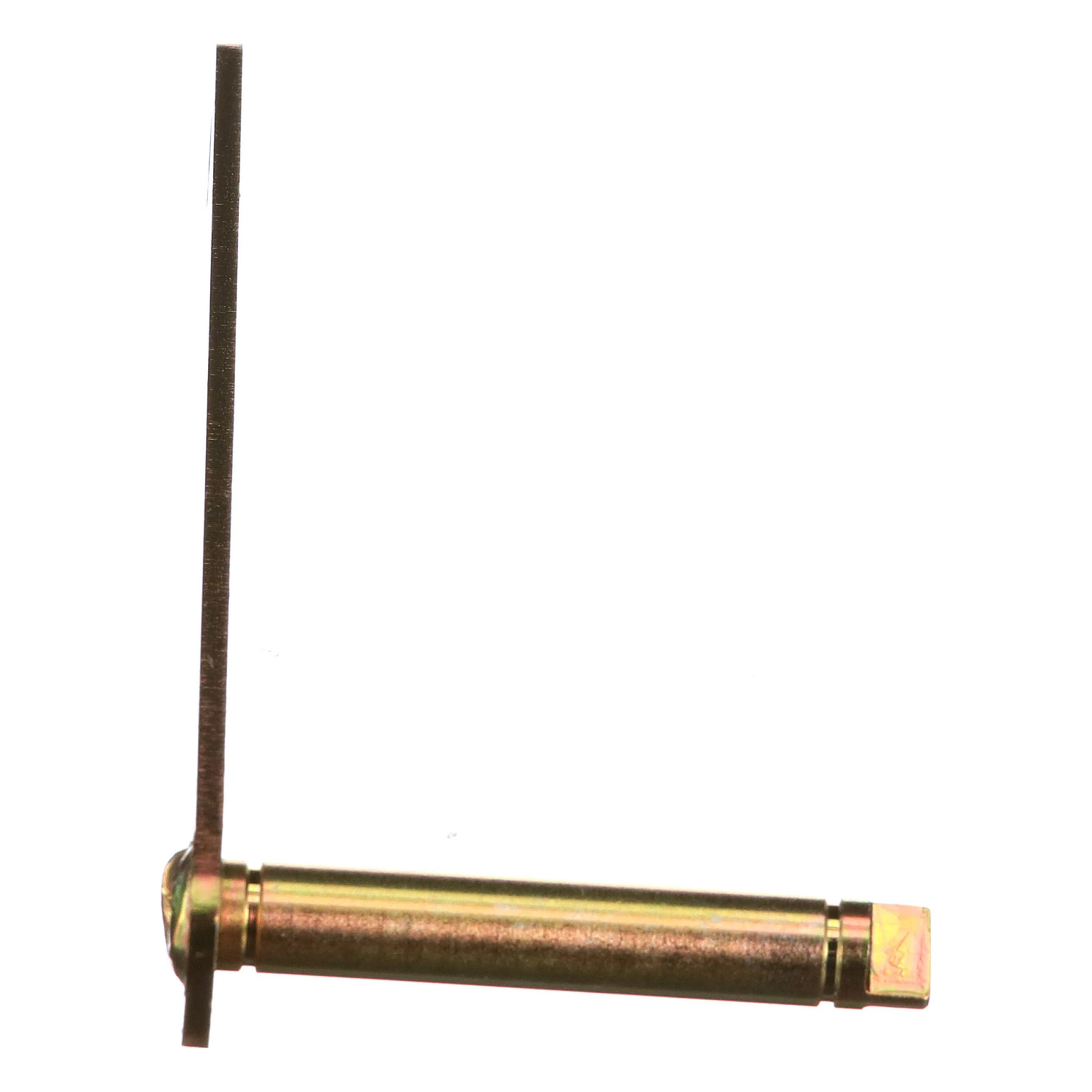 ARM | CASECE | AMEA | EN