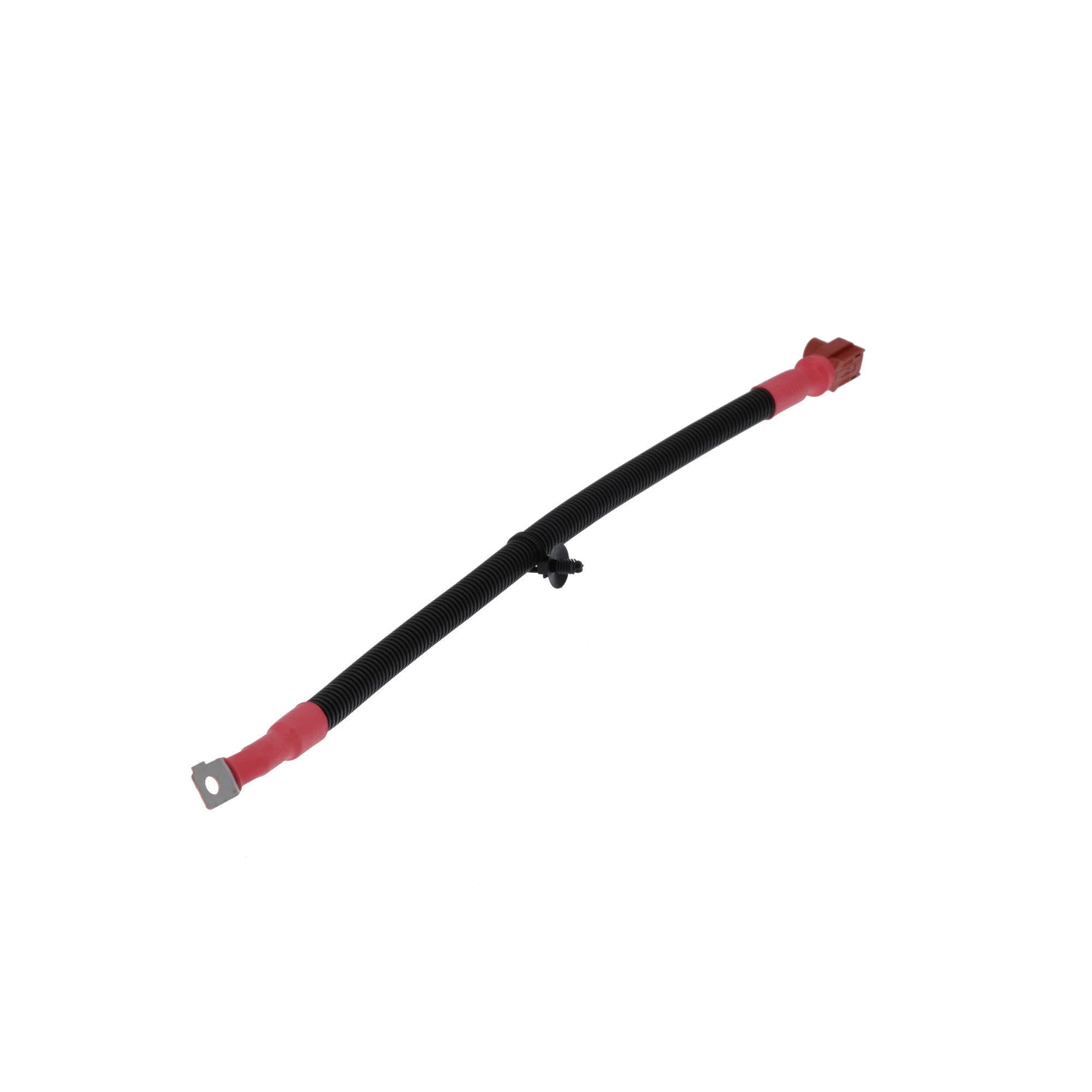 HARNESS, WIRE | CASECE | US | EN