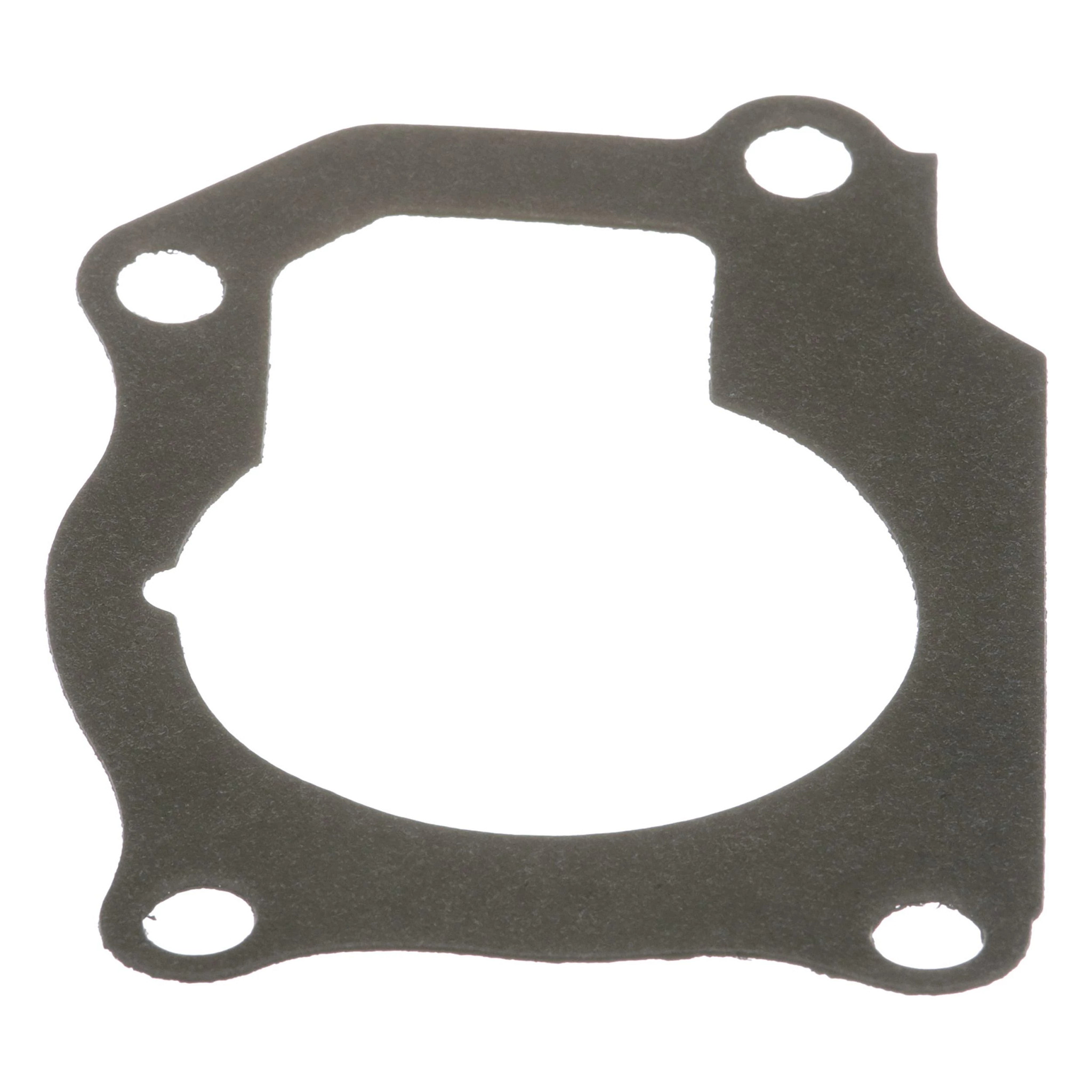 GASKET | CASECE | AMEA | EN