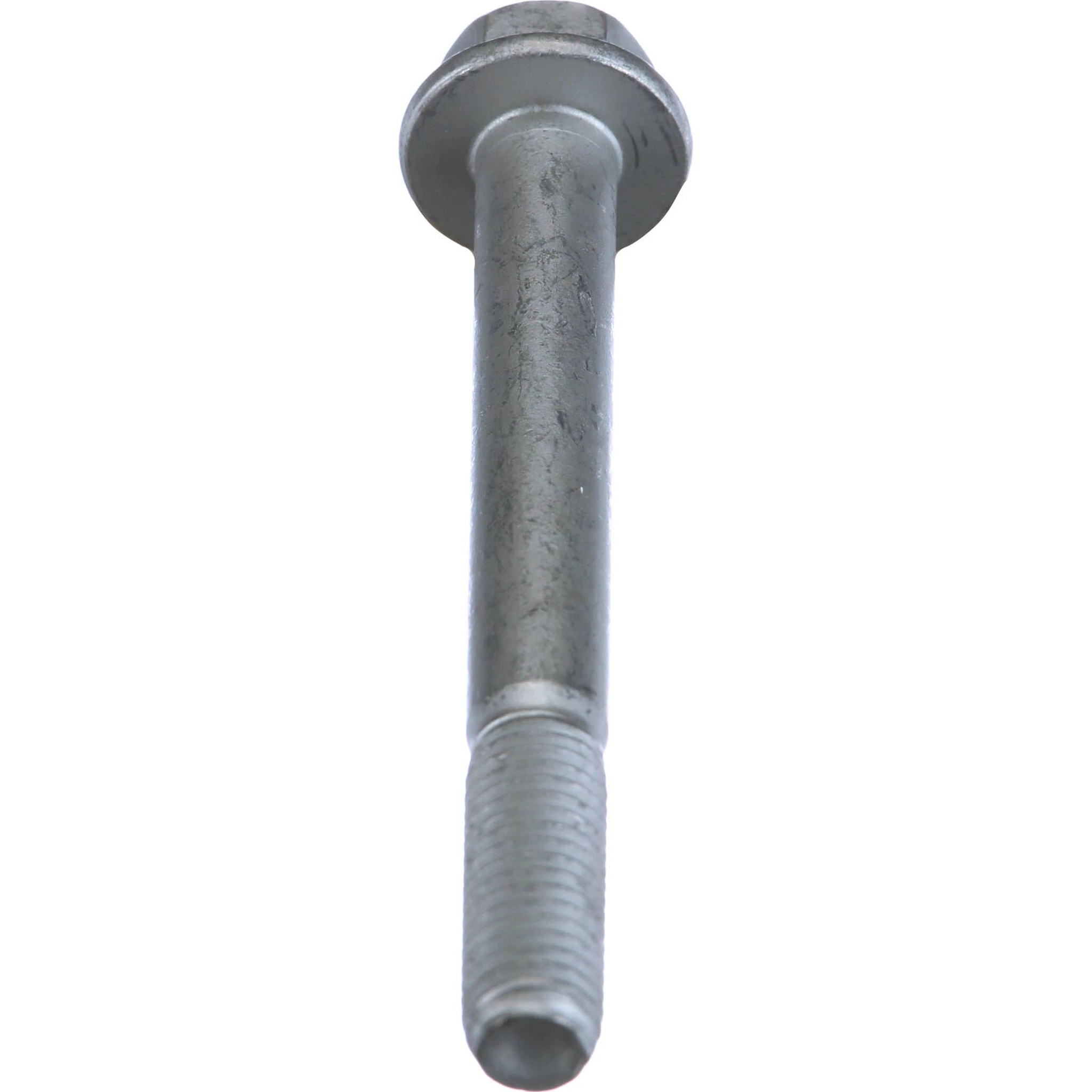 BOLT | STEYR | EU | EN