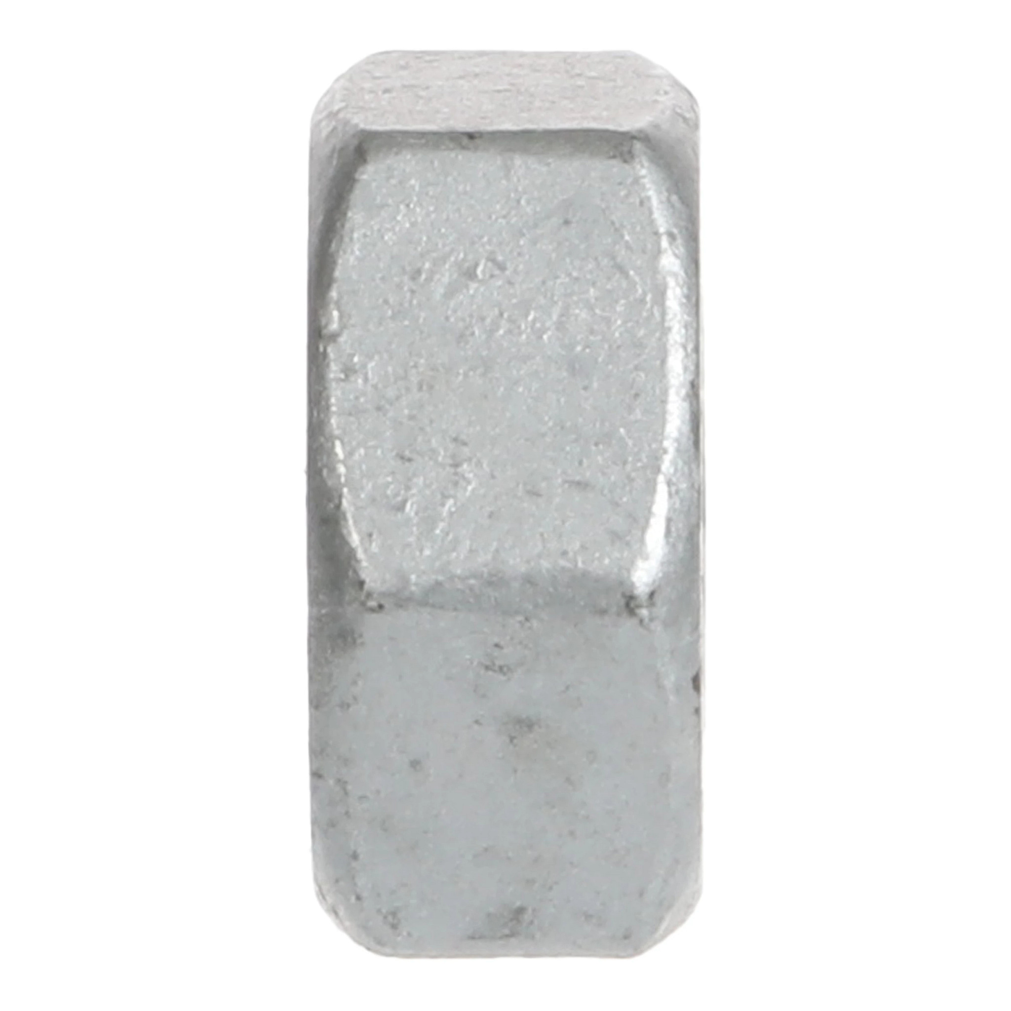 NUT | NEWHOLLANDAG | NZ | EN