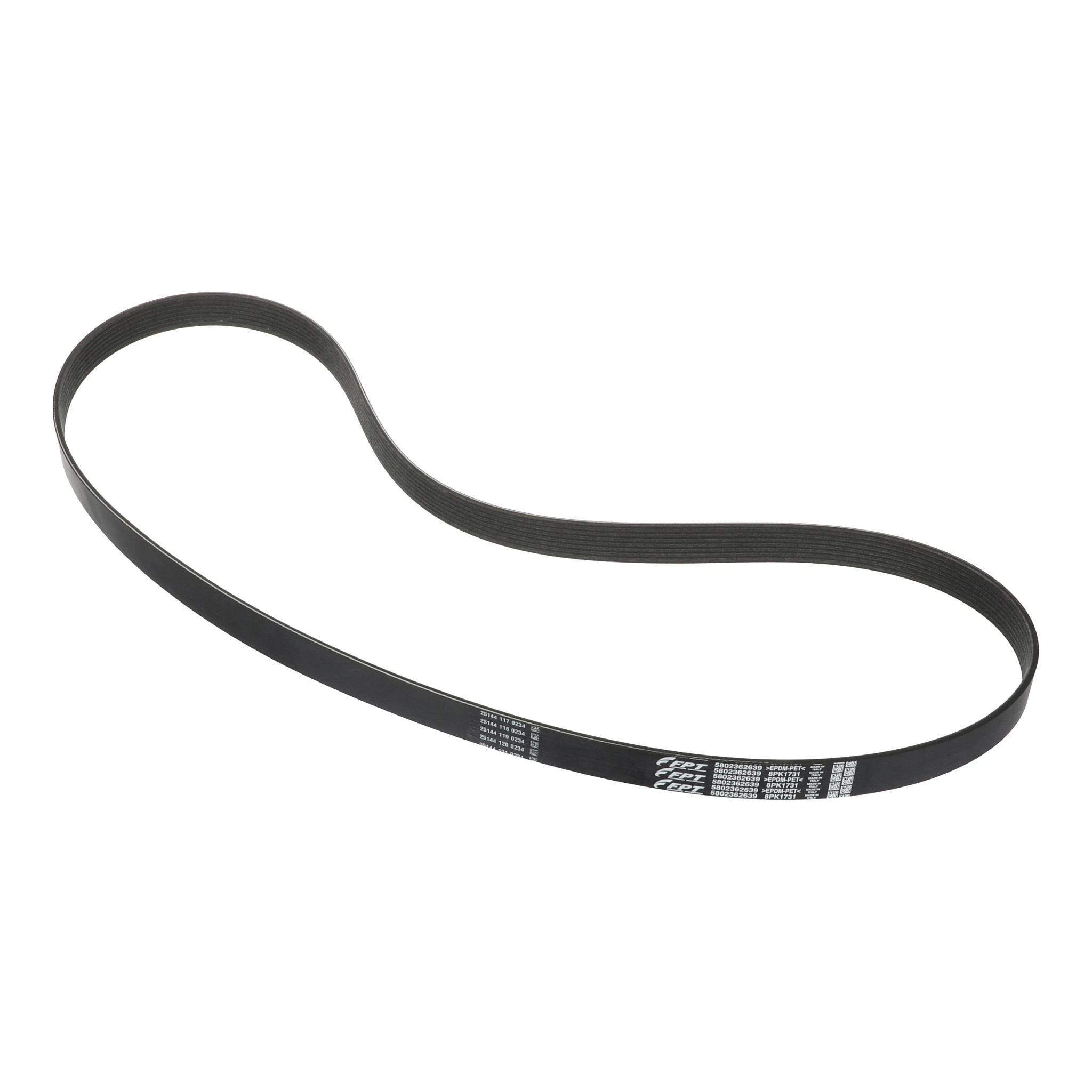 Belt | CASEIH | US | EN