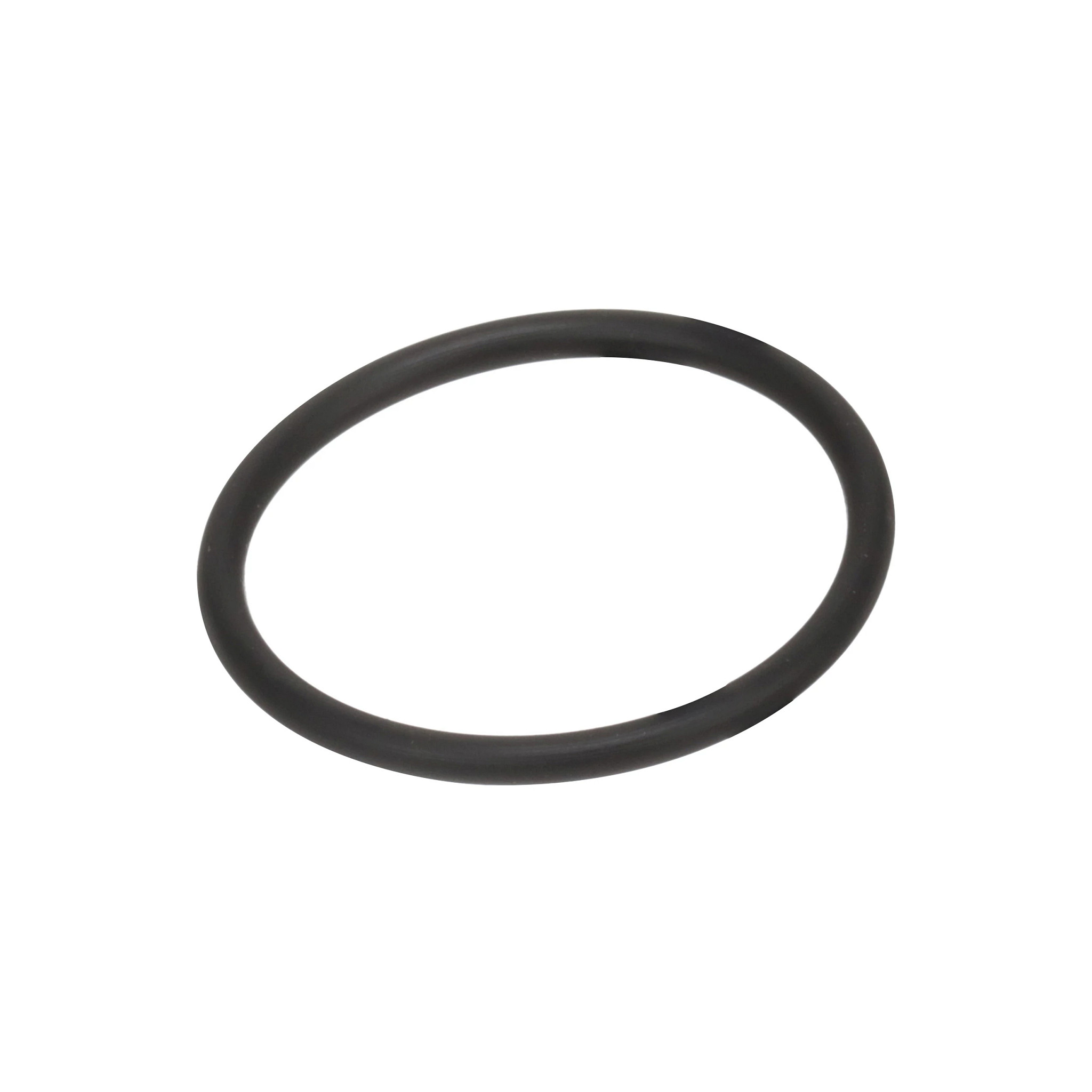 O-RING | CASECE | EU | EN