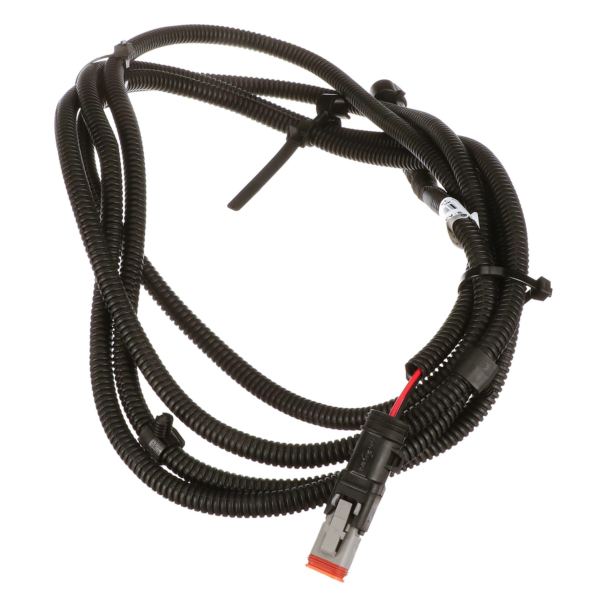 CHICOTE | CASECE | EU | PT