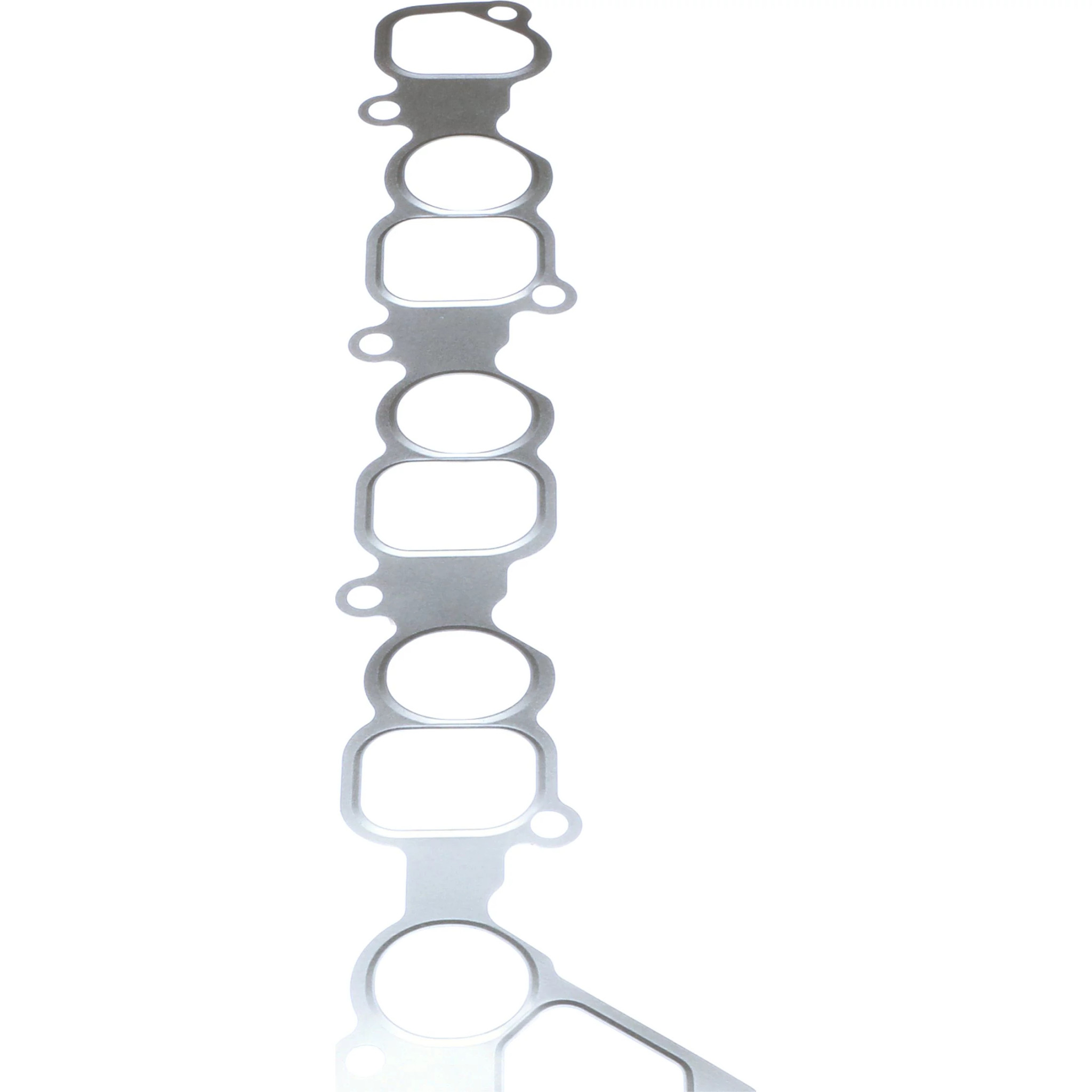 GASKET | CASECE | CA | FR