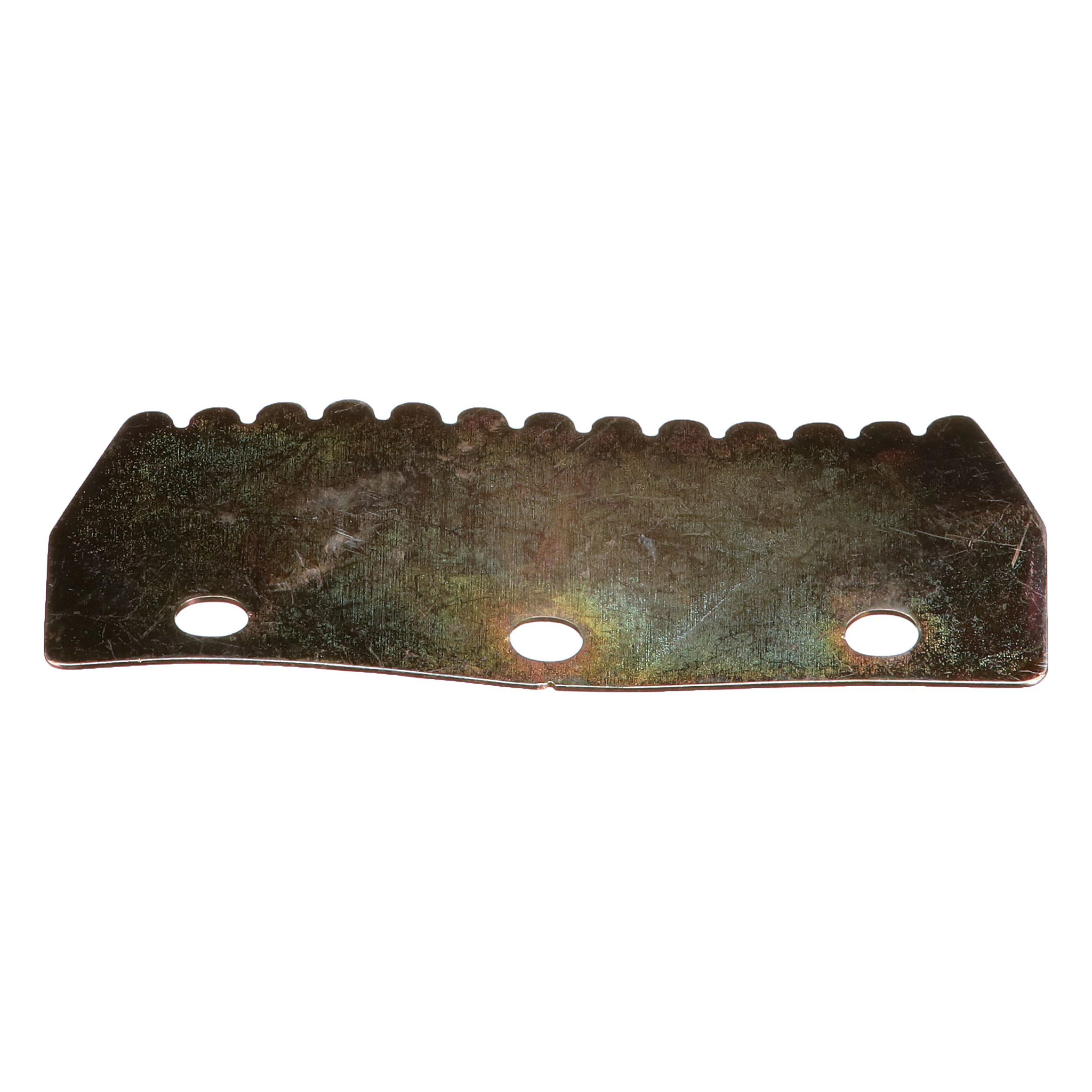 STRIP | CASECE | AMEA | EN