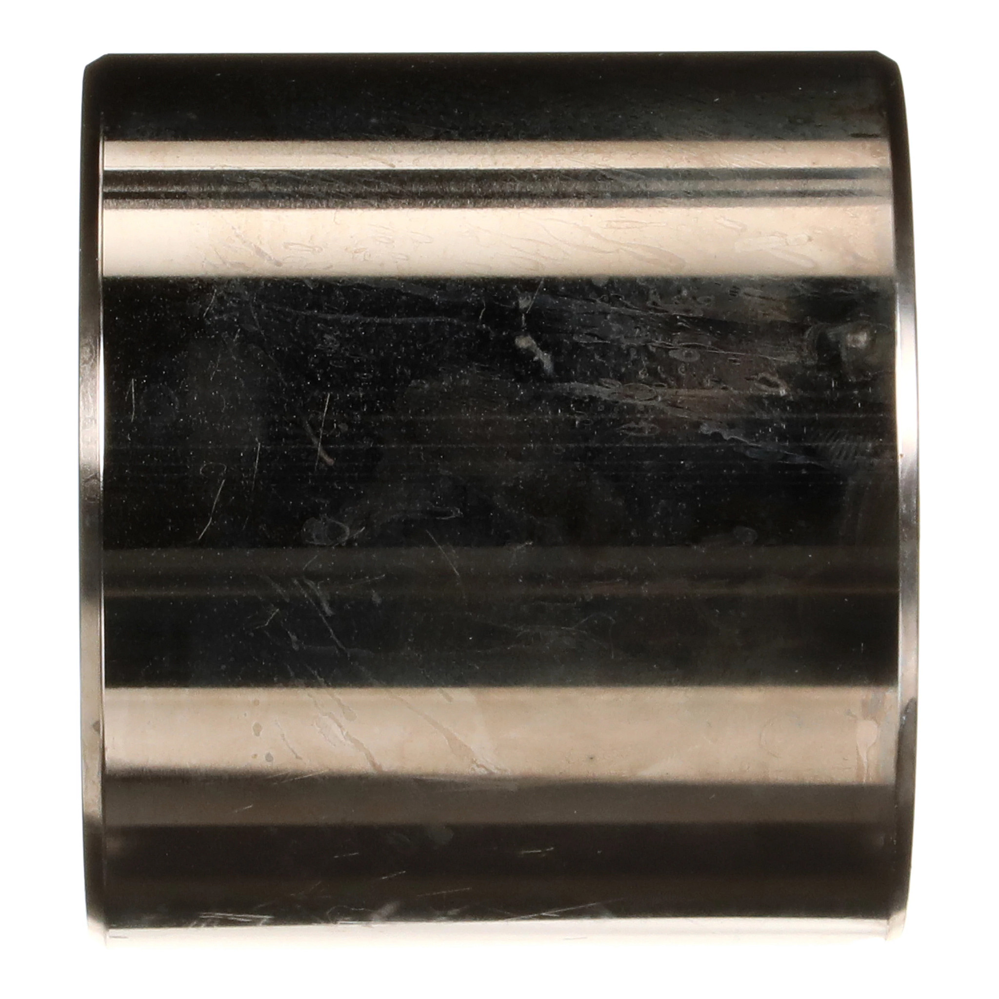 ARBRE | CASECE | CA | EN