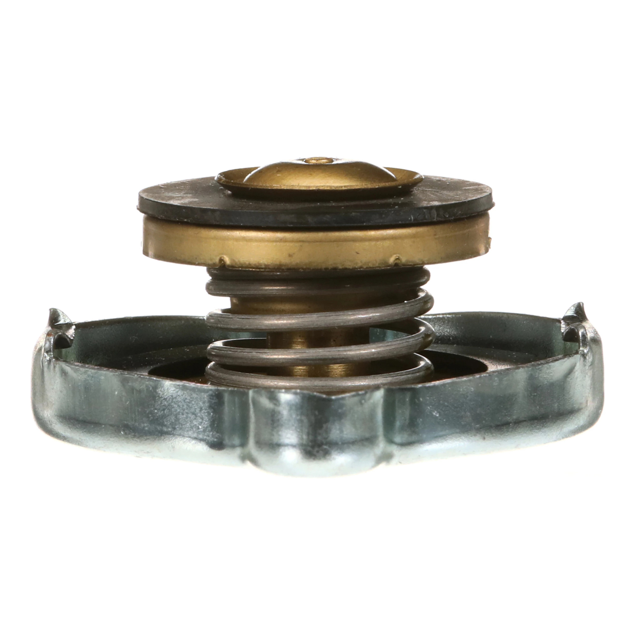 PLUG | CASECE | US | EN