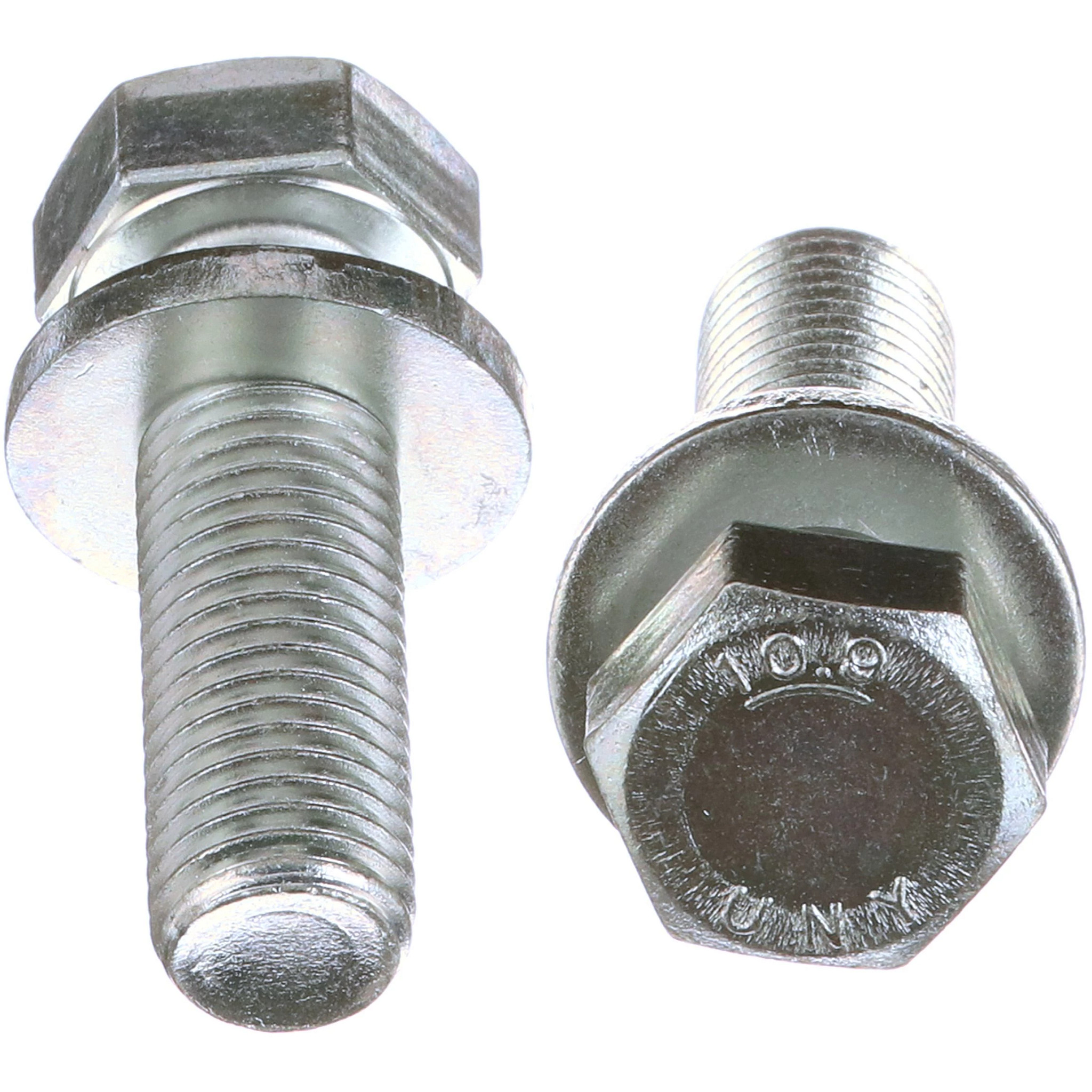 BOLT | CASECE | CA | EN