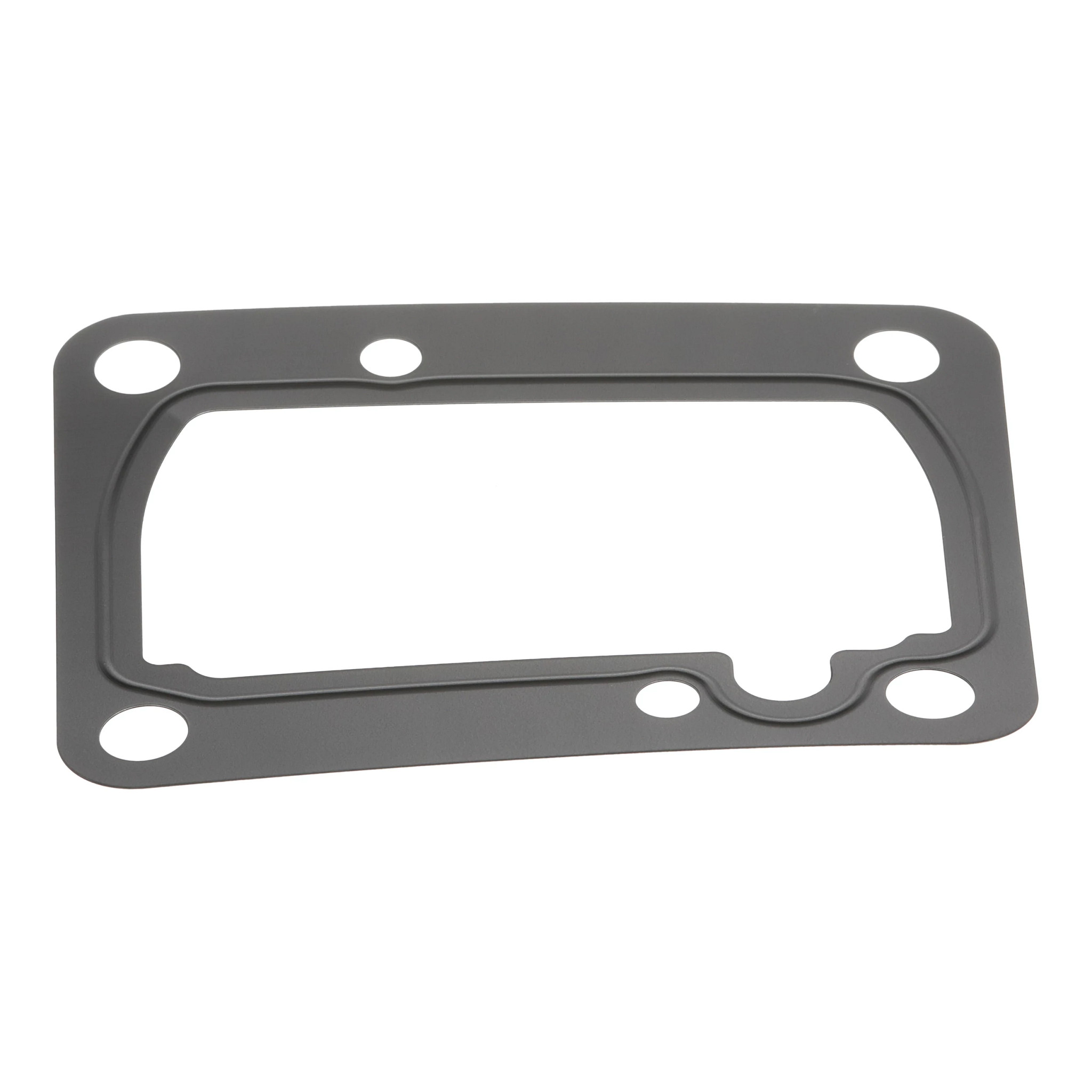 SHIM | CASECE | US | EN