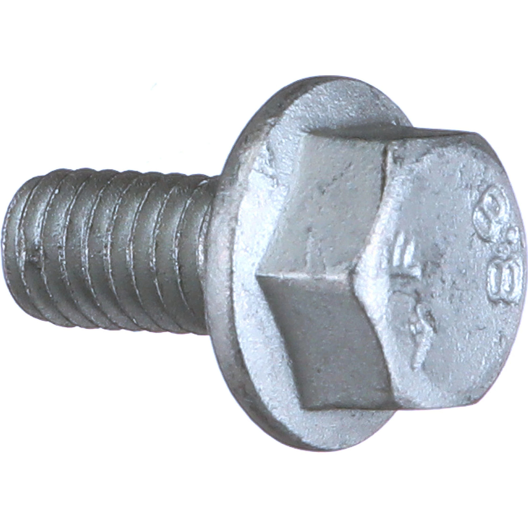 SCREW | MILLER | CA | EN
