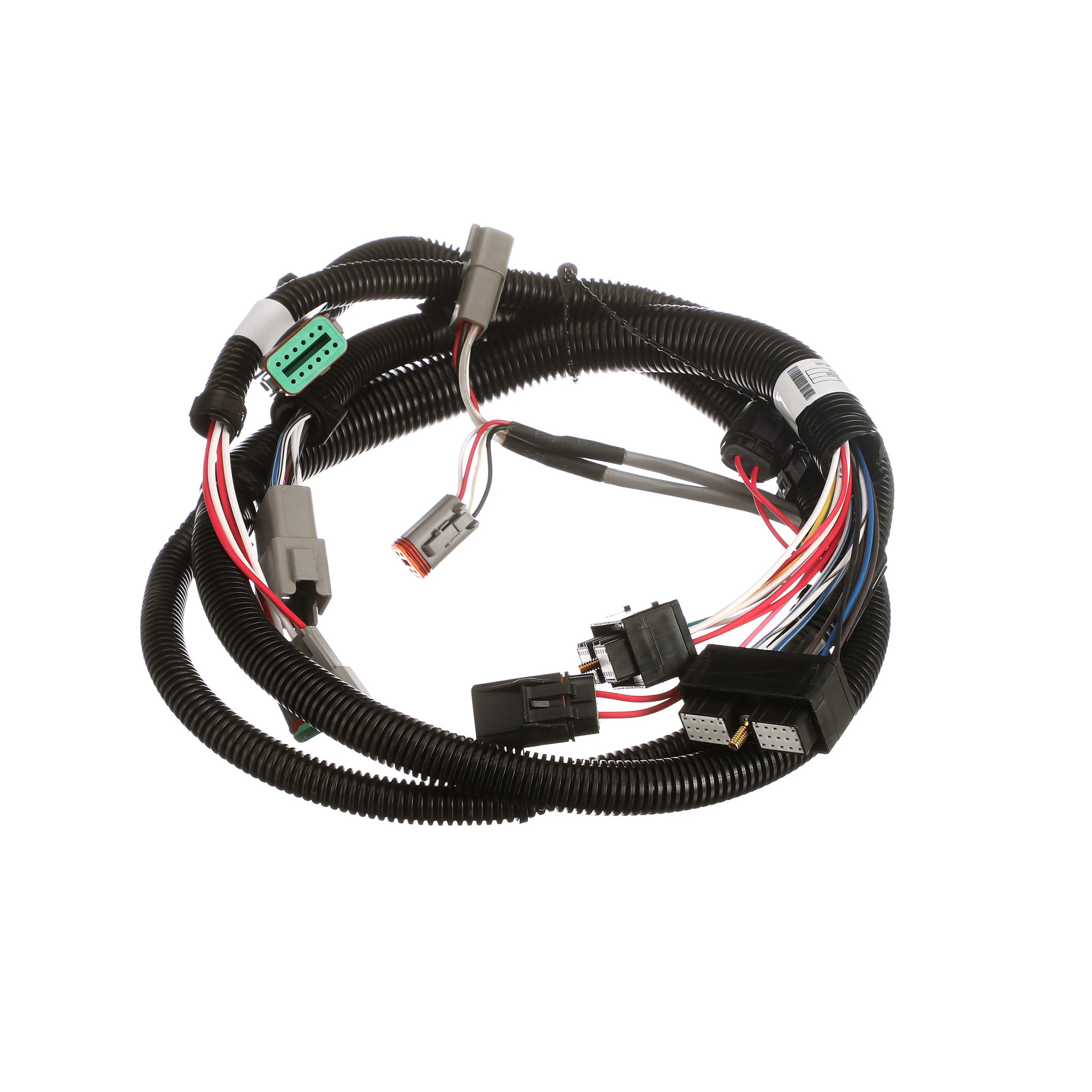 CHICOTE | CASECE | BR | PT