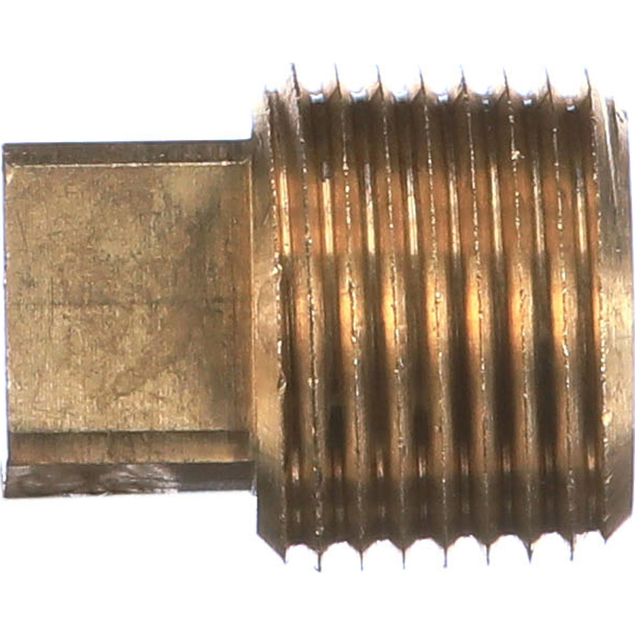 PLUG | CASECE | EU | EN