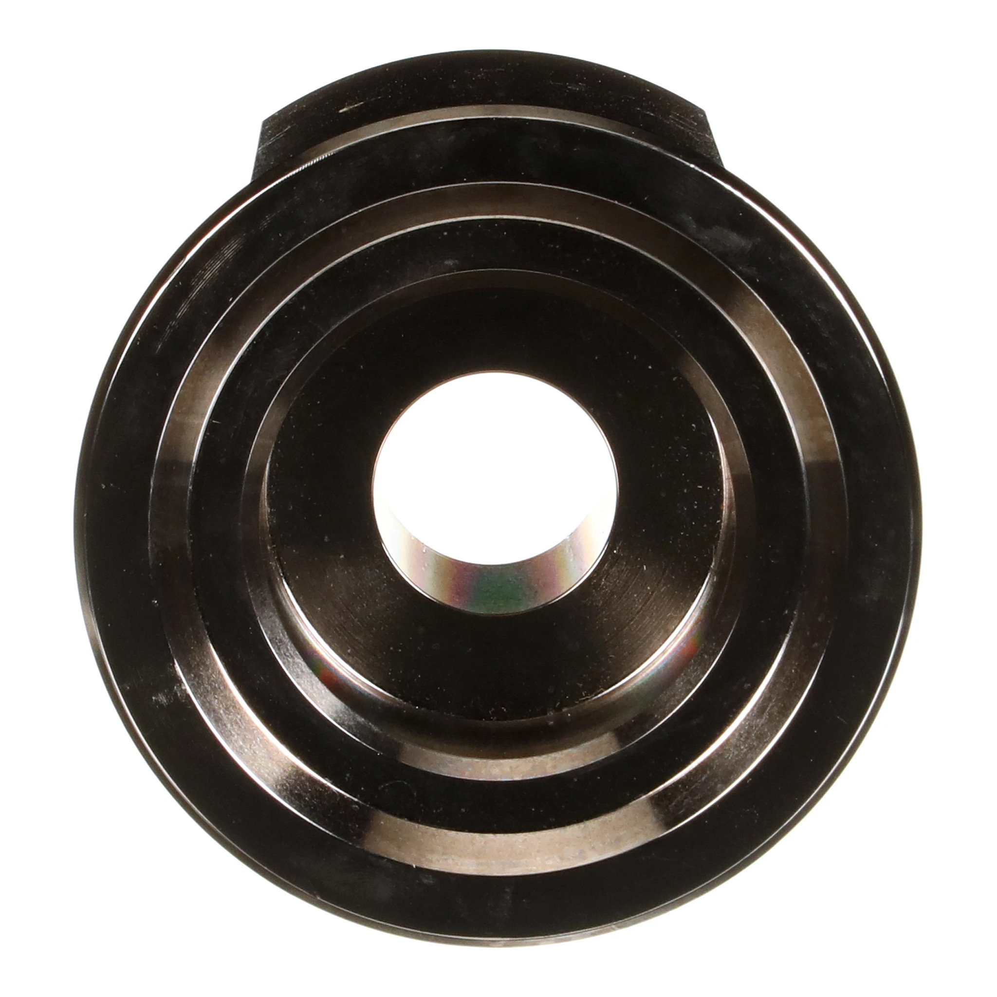 ARBRE | CASECE | CA | EN