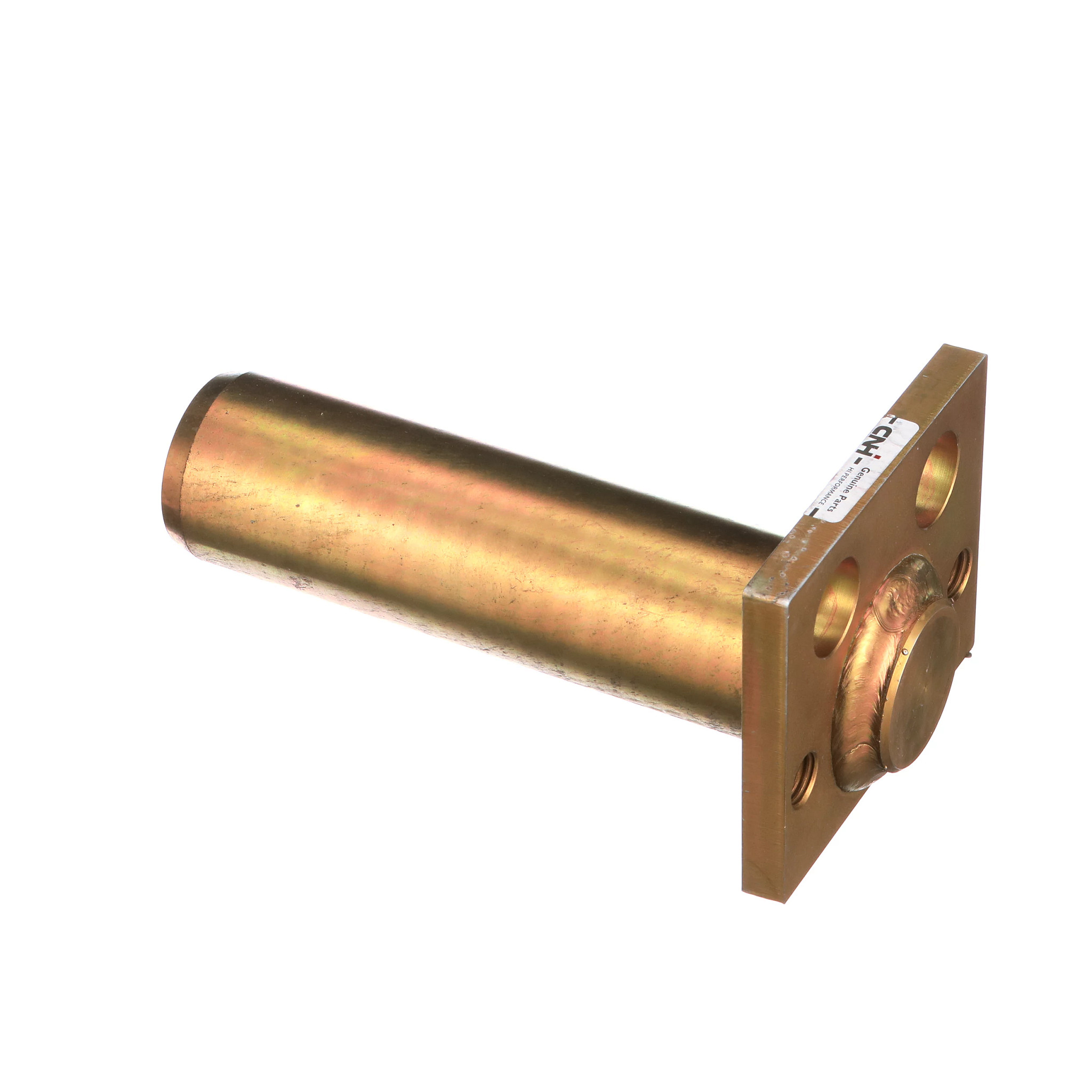 Pino Especial | CASECE | BR | PT