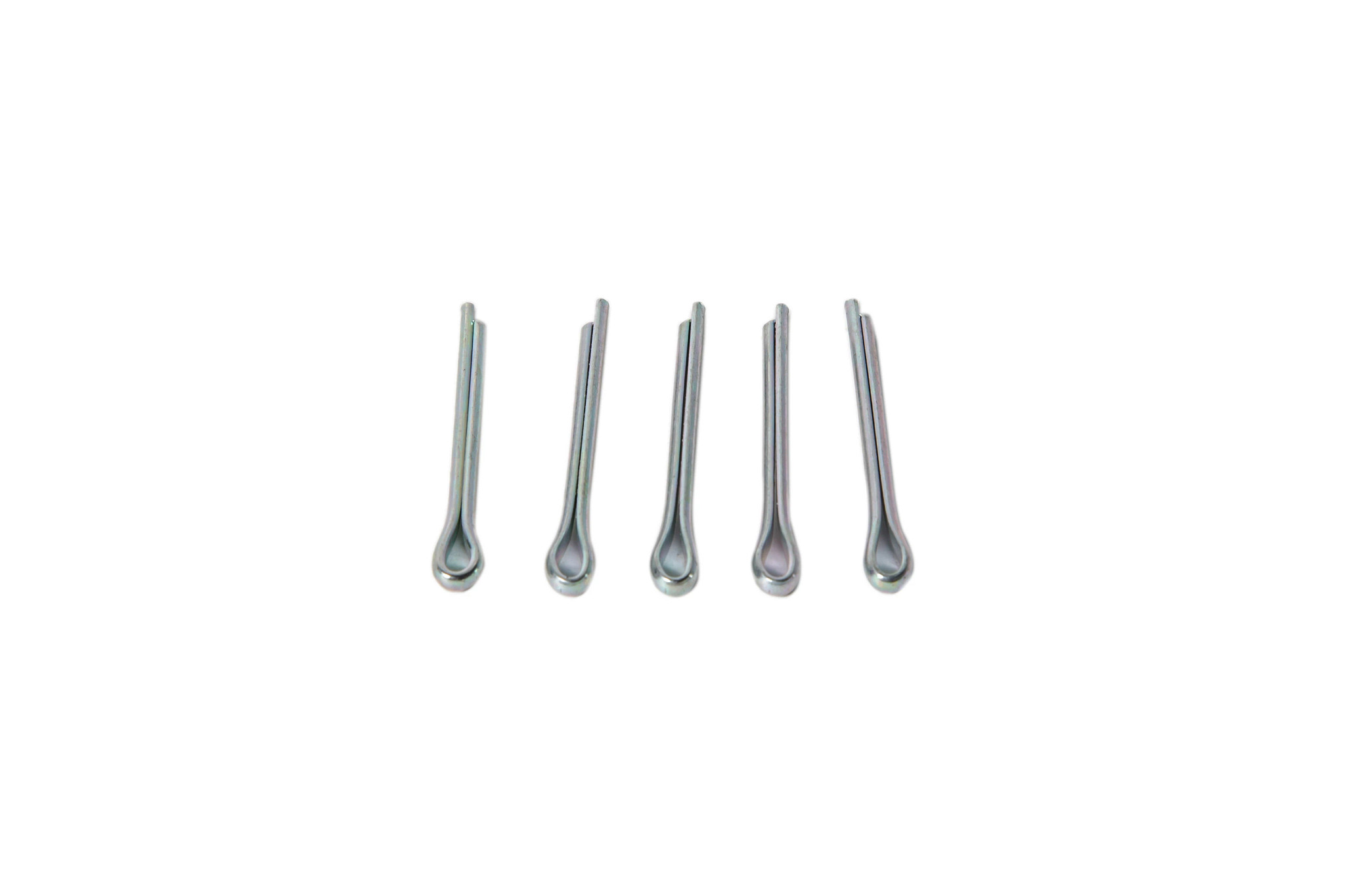 PASADOR | CASECE | EU | IT