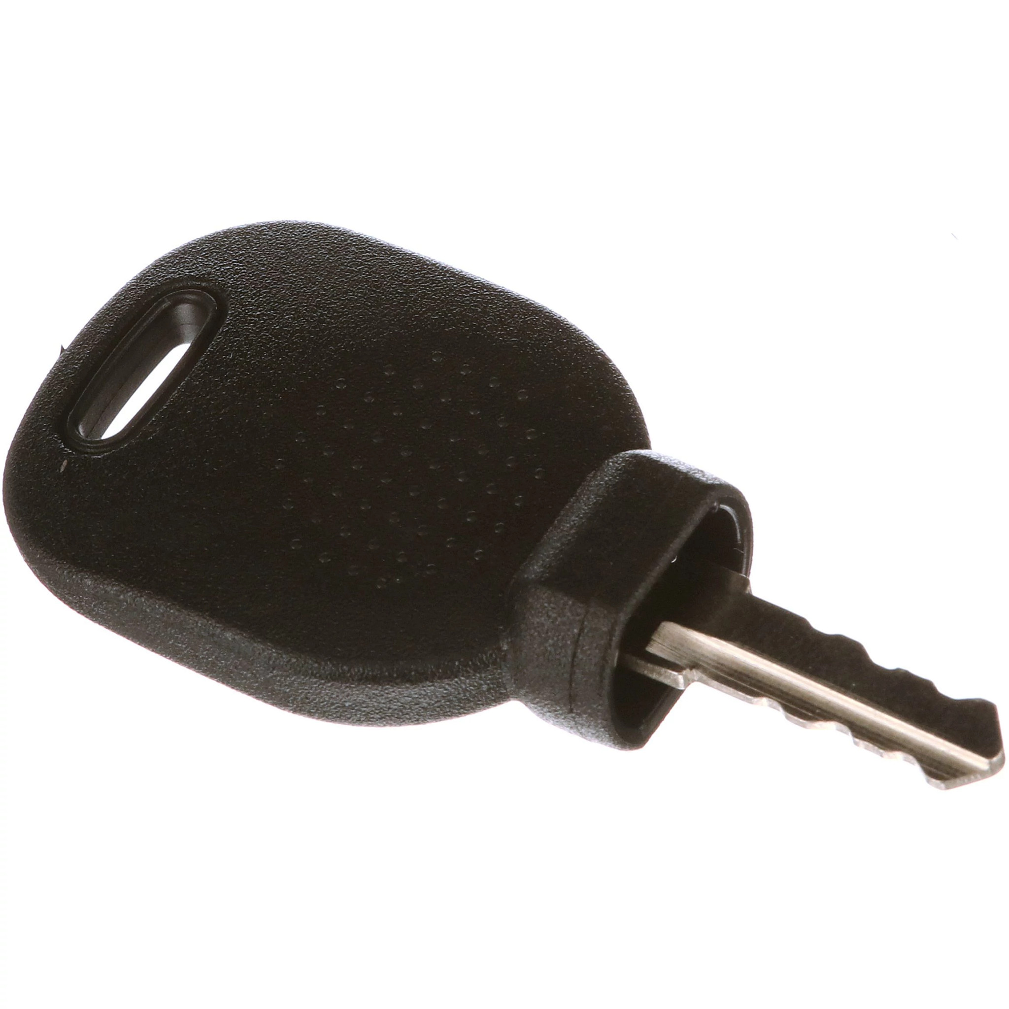 Ignition Key | CASEIH | US | EN