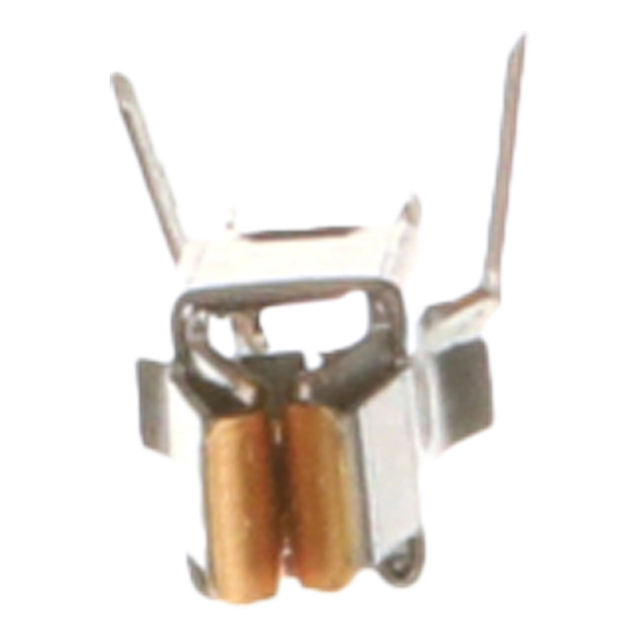 BORNE | CASEIH | EU | DE