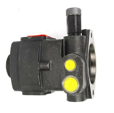 Reman Hydraulic Pump | CASEIH | US | EN
