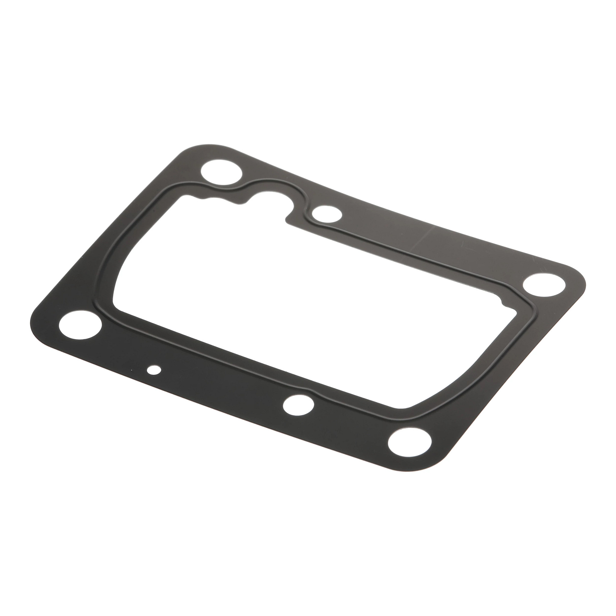 Shim | CASECE | US | EN