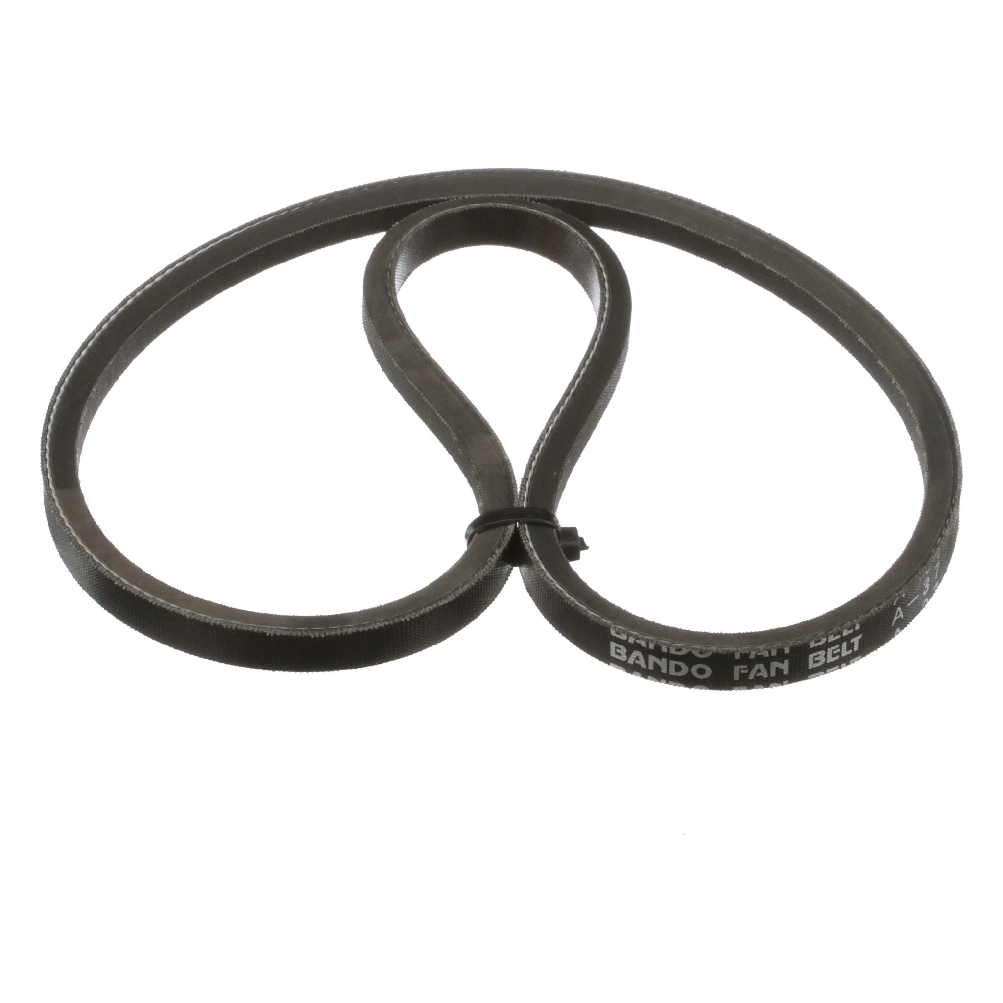 BELT | CASECE | CA | FR