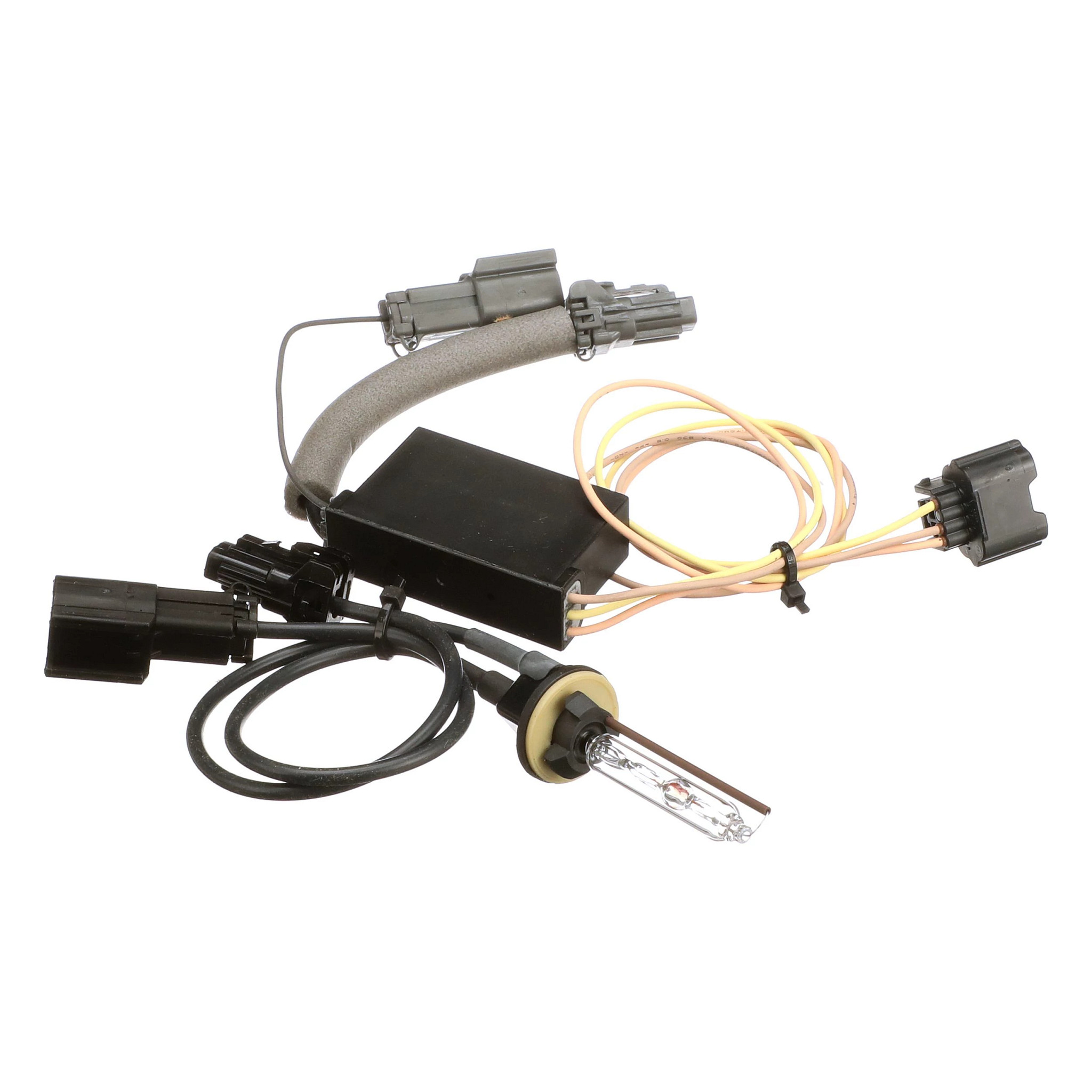 BOMBILLA | CASECE | EU | ES