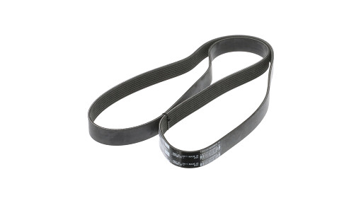 BELT | CASECE | CA | EN