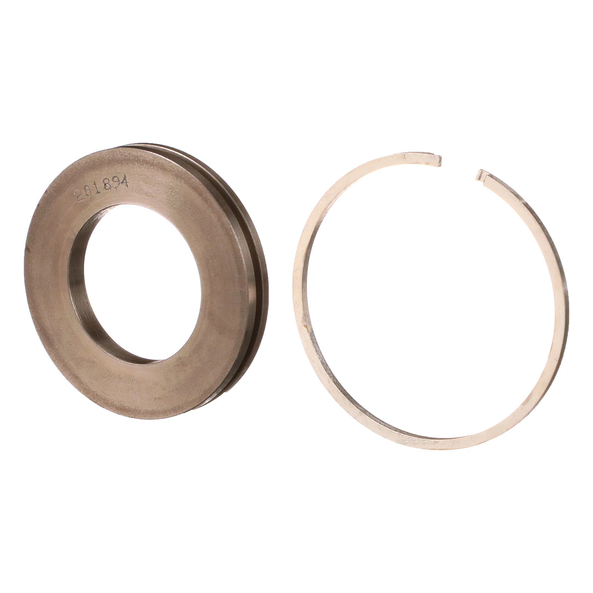 Seal | CASECE | US | EN