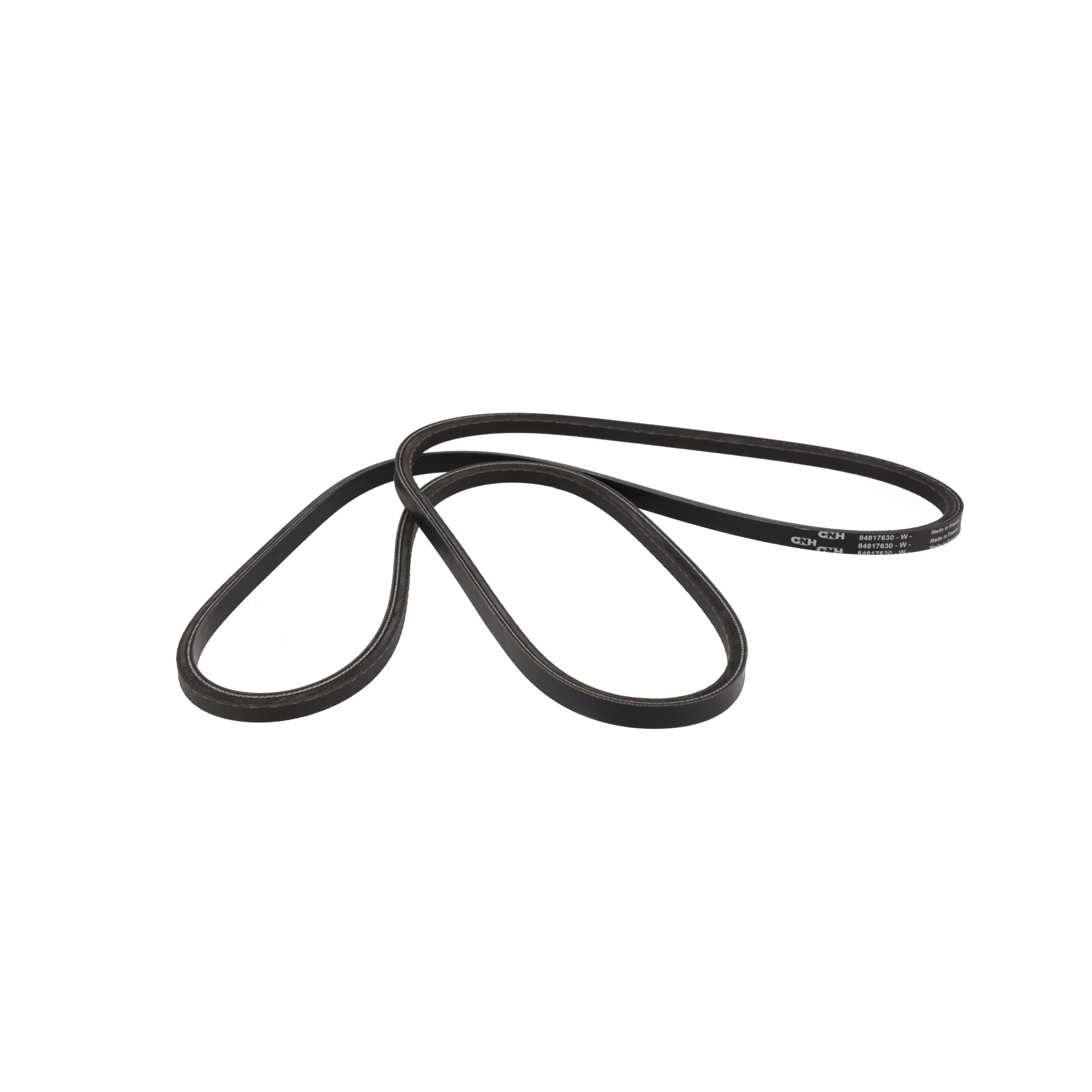 CINGHIA | CASEIH | IT | IT