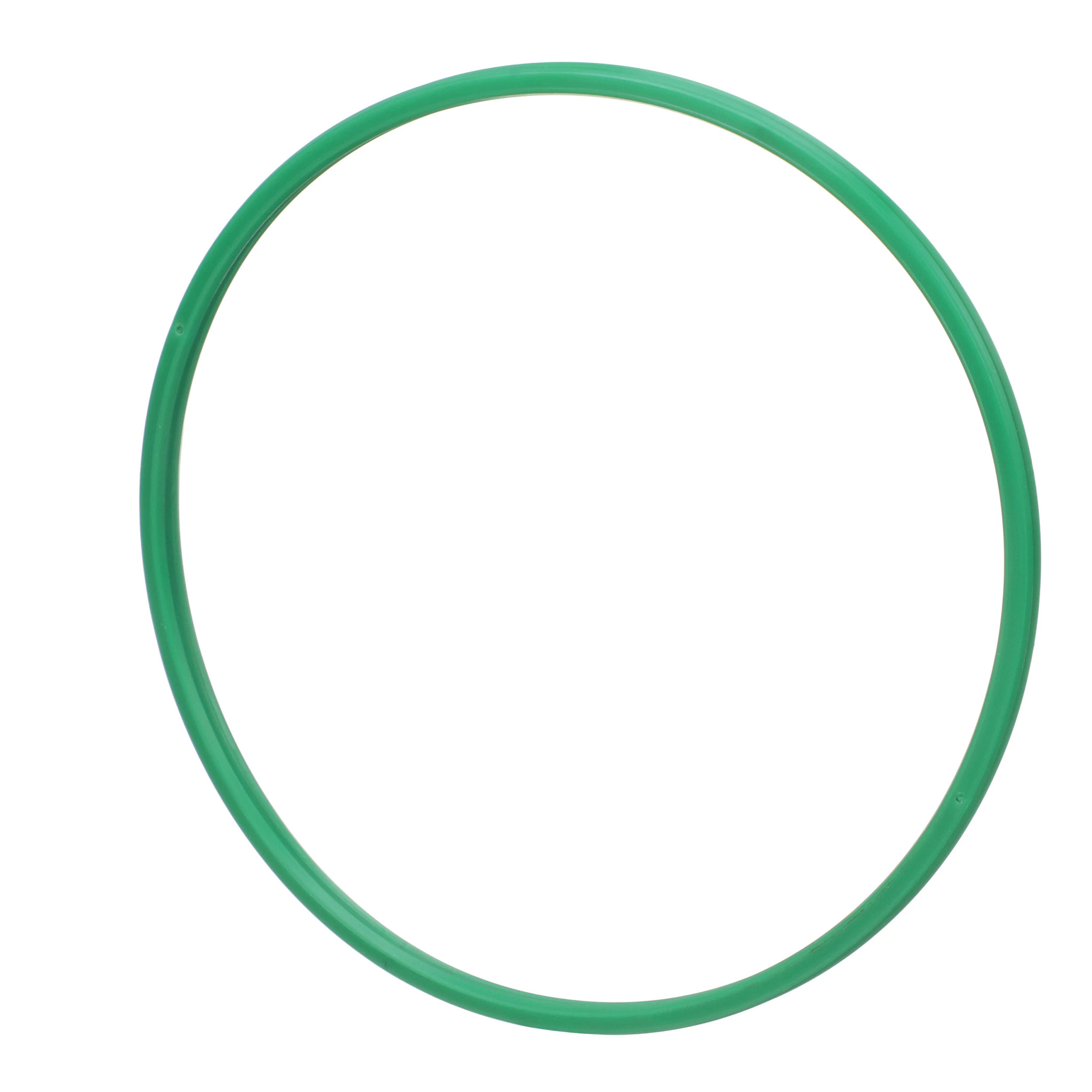 Back-Up Ring | CASECE | BR | PT