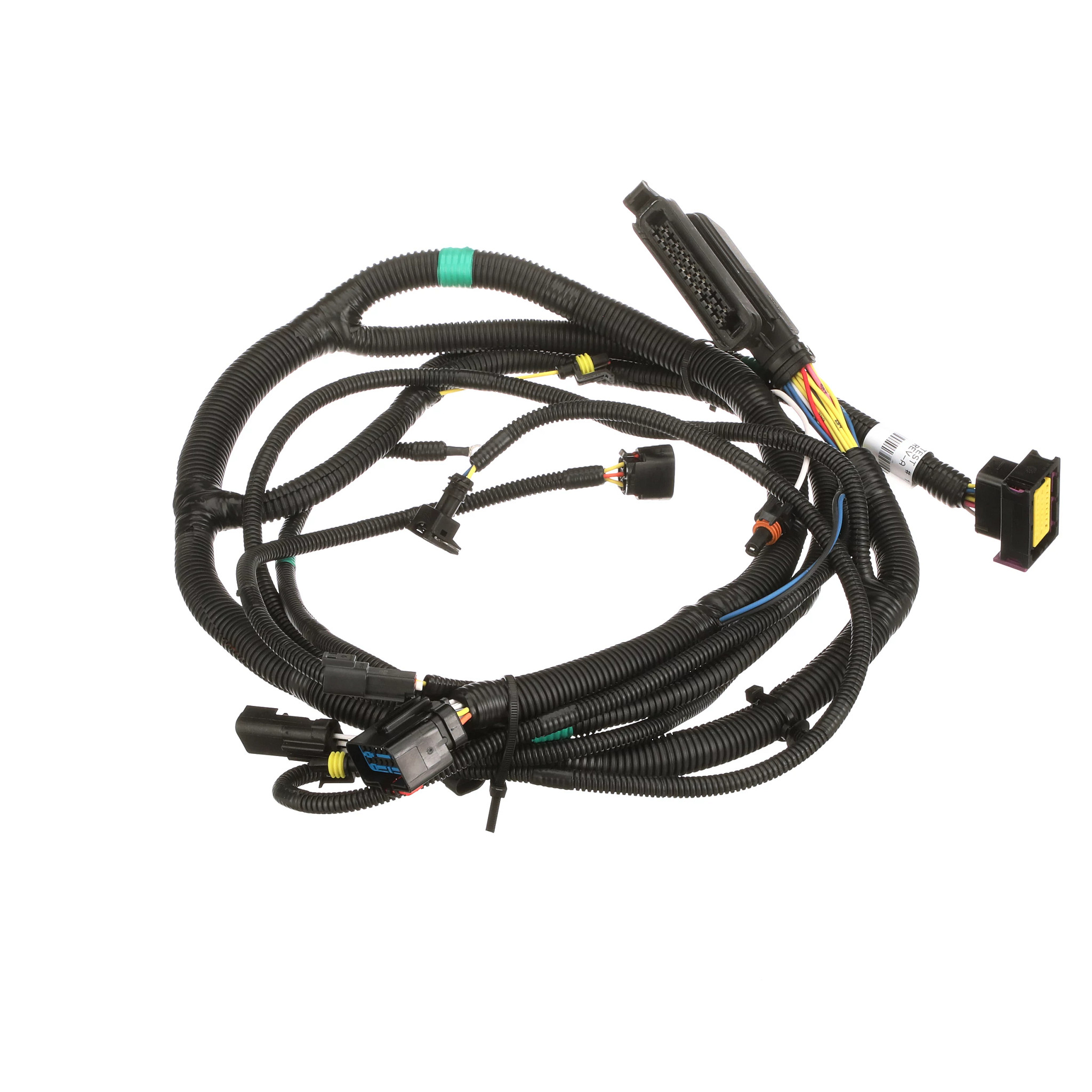 Engine Wire Harness | CASECE | BR | PT