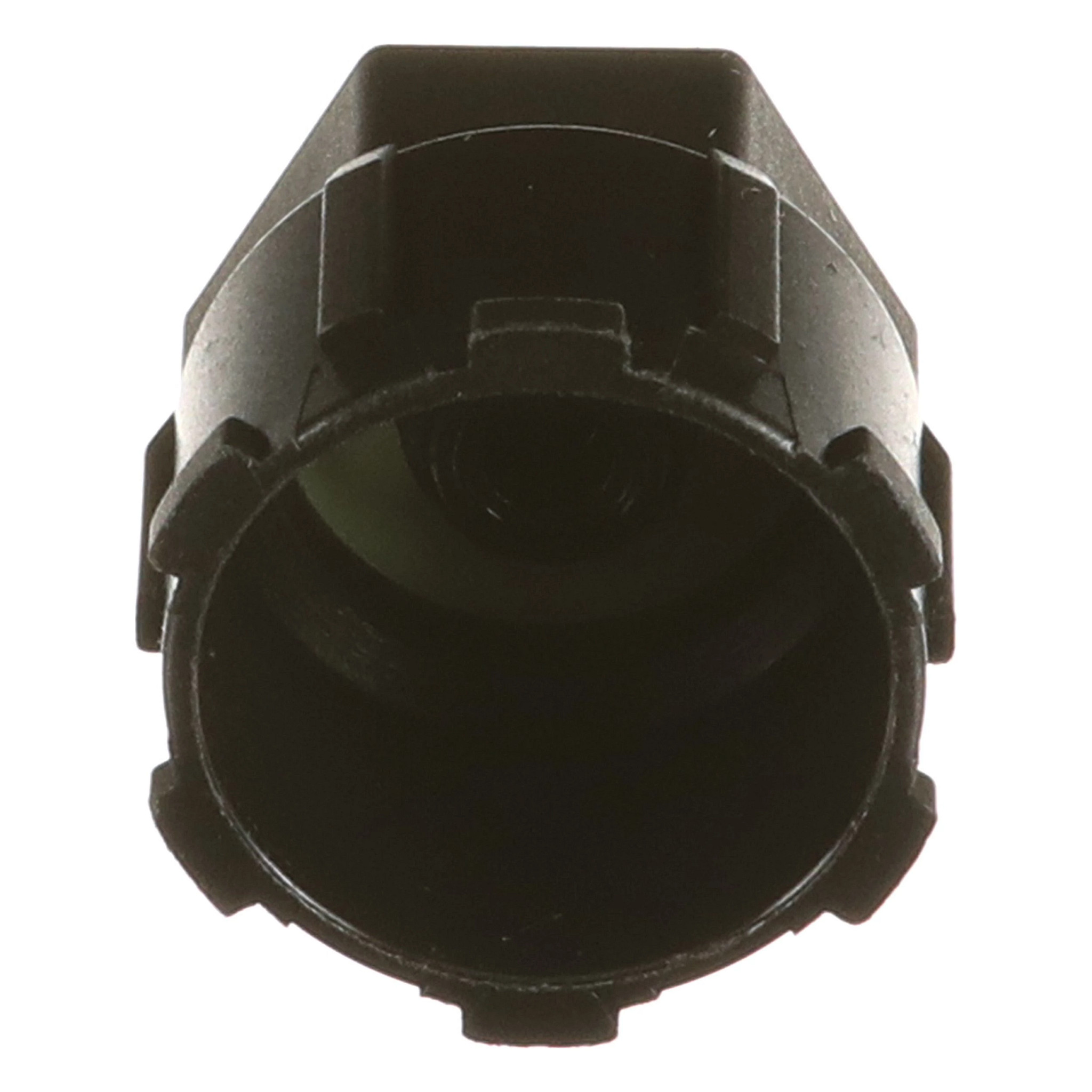 CAP | CASECE | ANZ | EN