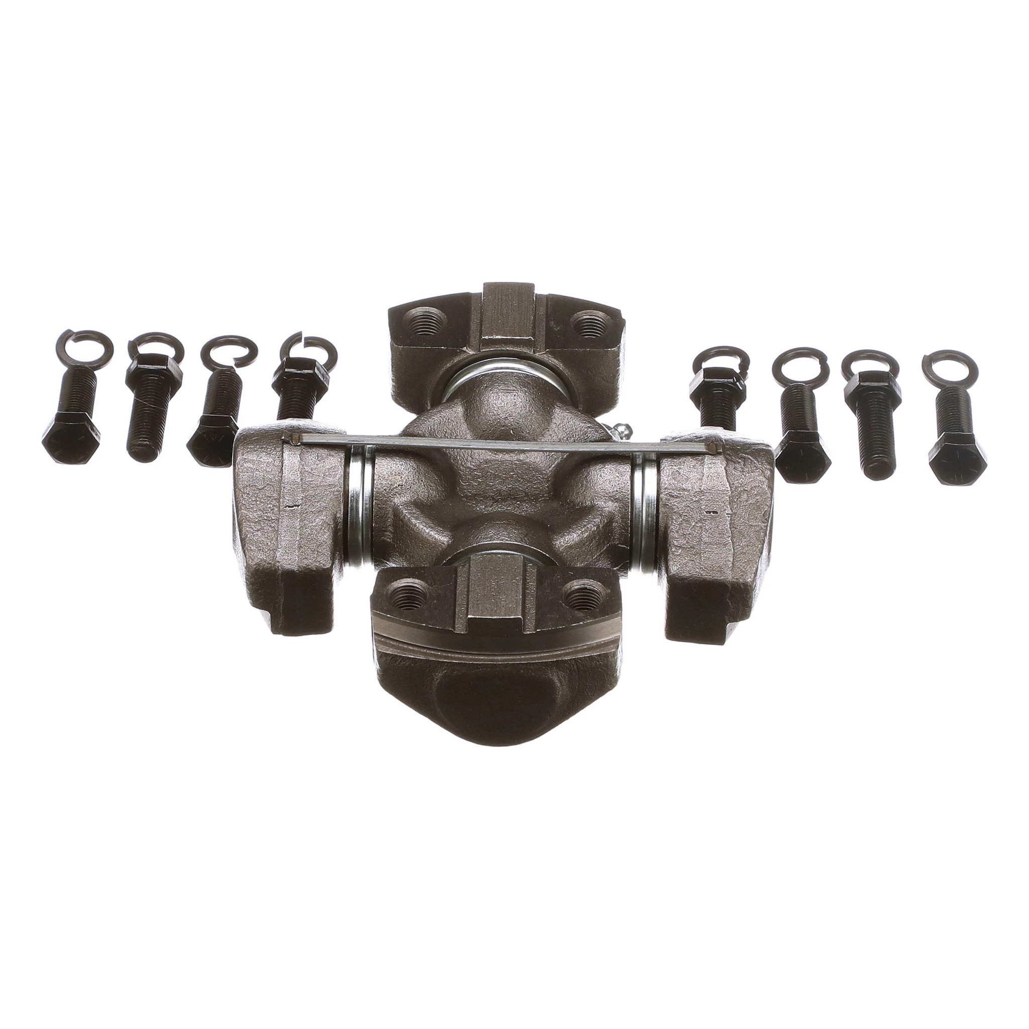 SPIDER | CASECE | SA | EN