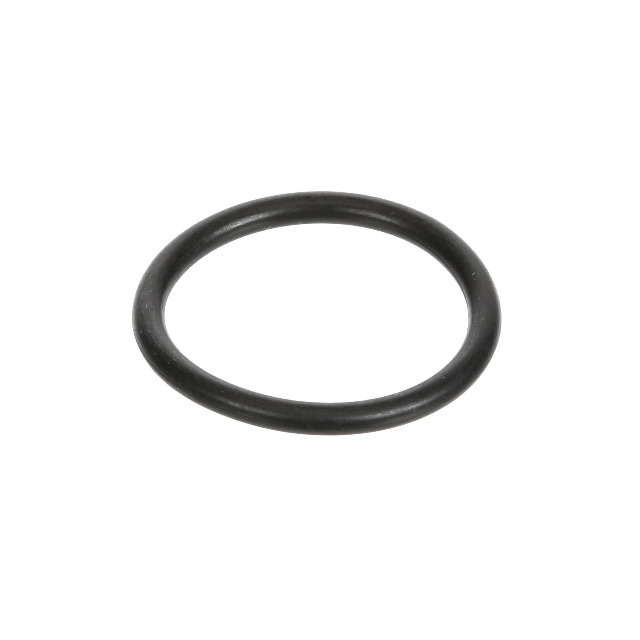 O-RING | CASEIH | BR | PT